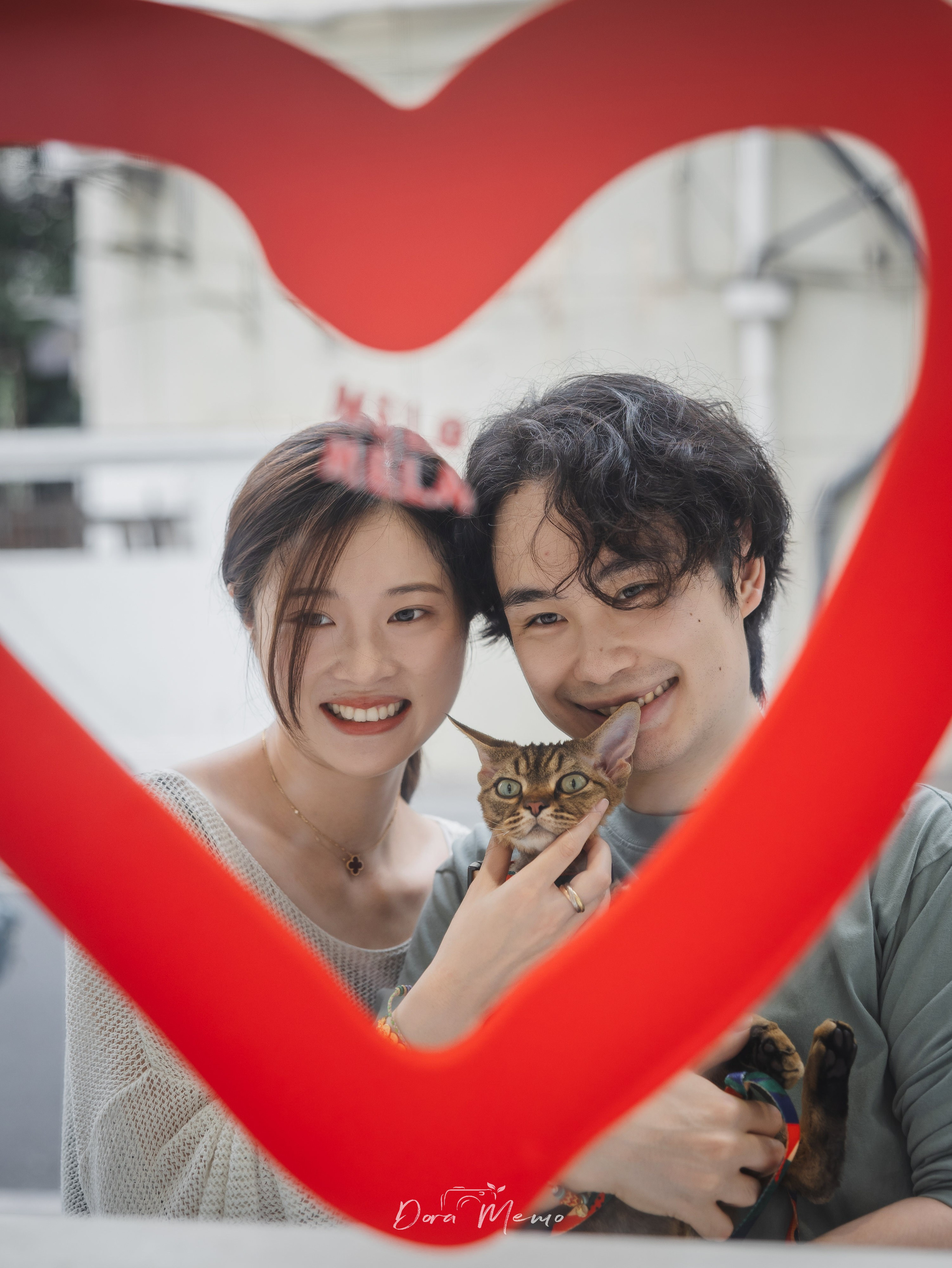 Shanghai Pet Family Photography | A Warm At-Home Session with Two Cats