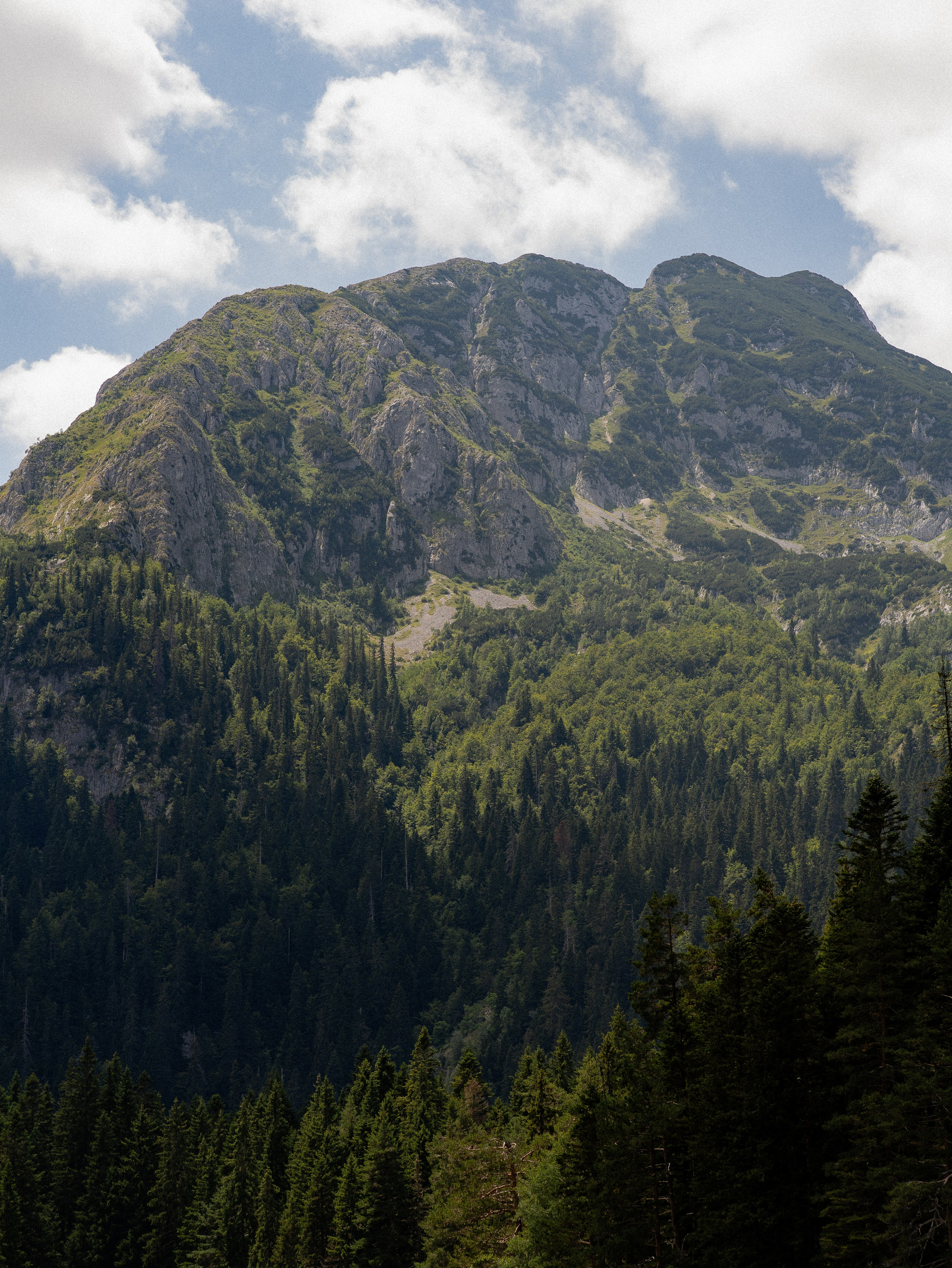 LANDSCAPE. Montenegro photographer and videographer