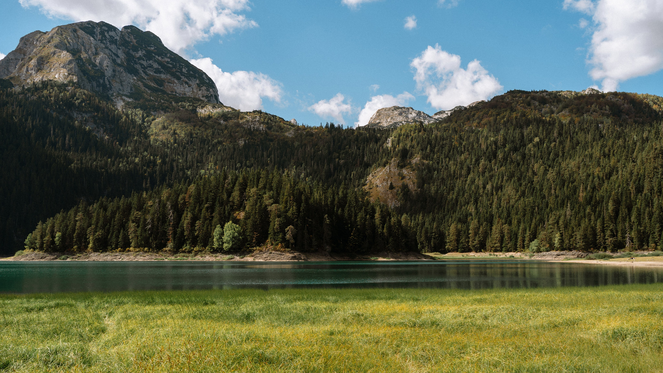 Noam&Liraz Marriage proposal Black lake. Montenegro photographer and videographer