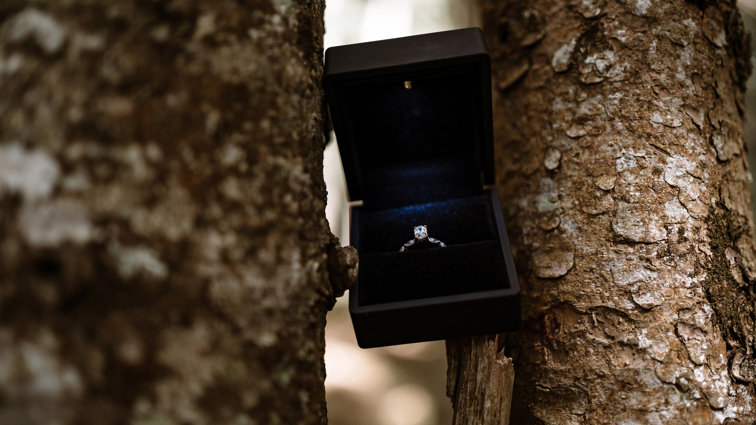 Noam&Liraz Marriage proposal Black lake. Montenegro photographer and videographer