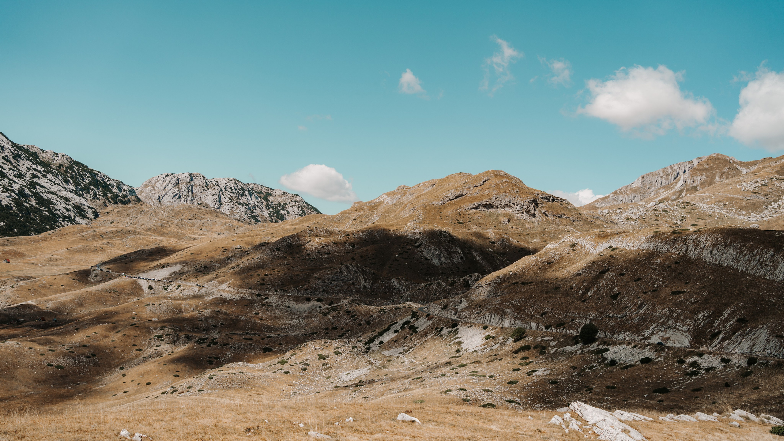 Daniel&Eva Marriage proposal in Žabljak. Montenegro photographer and videographer