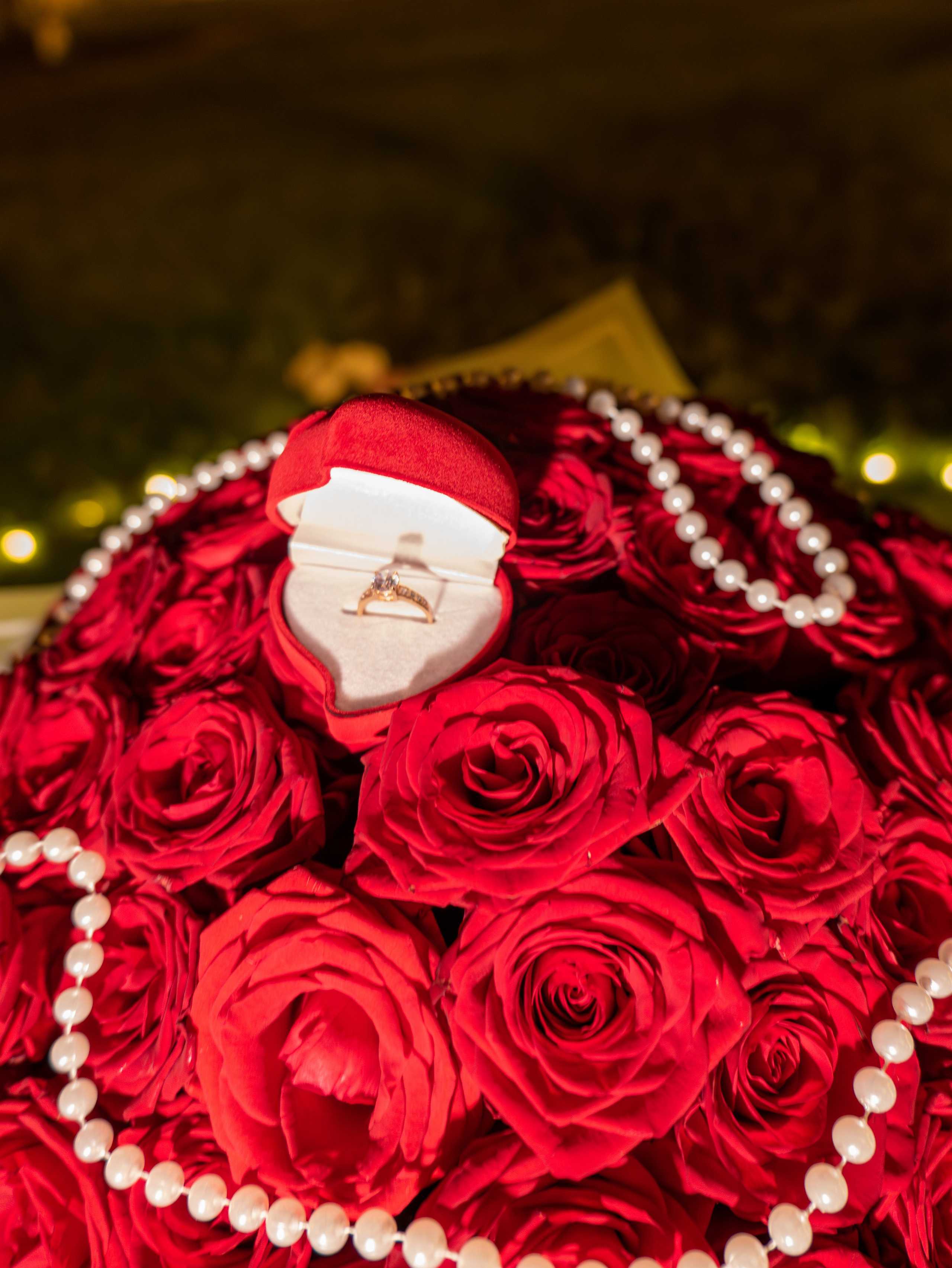 Alina&Ion. Fotograful și Cameramanul familiei dvs în Franța Paul Photographer