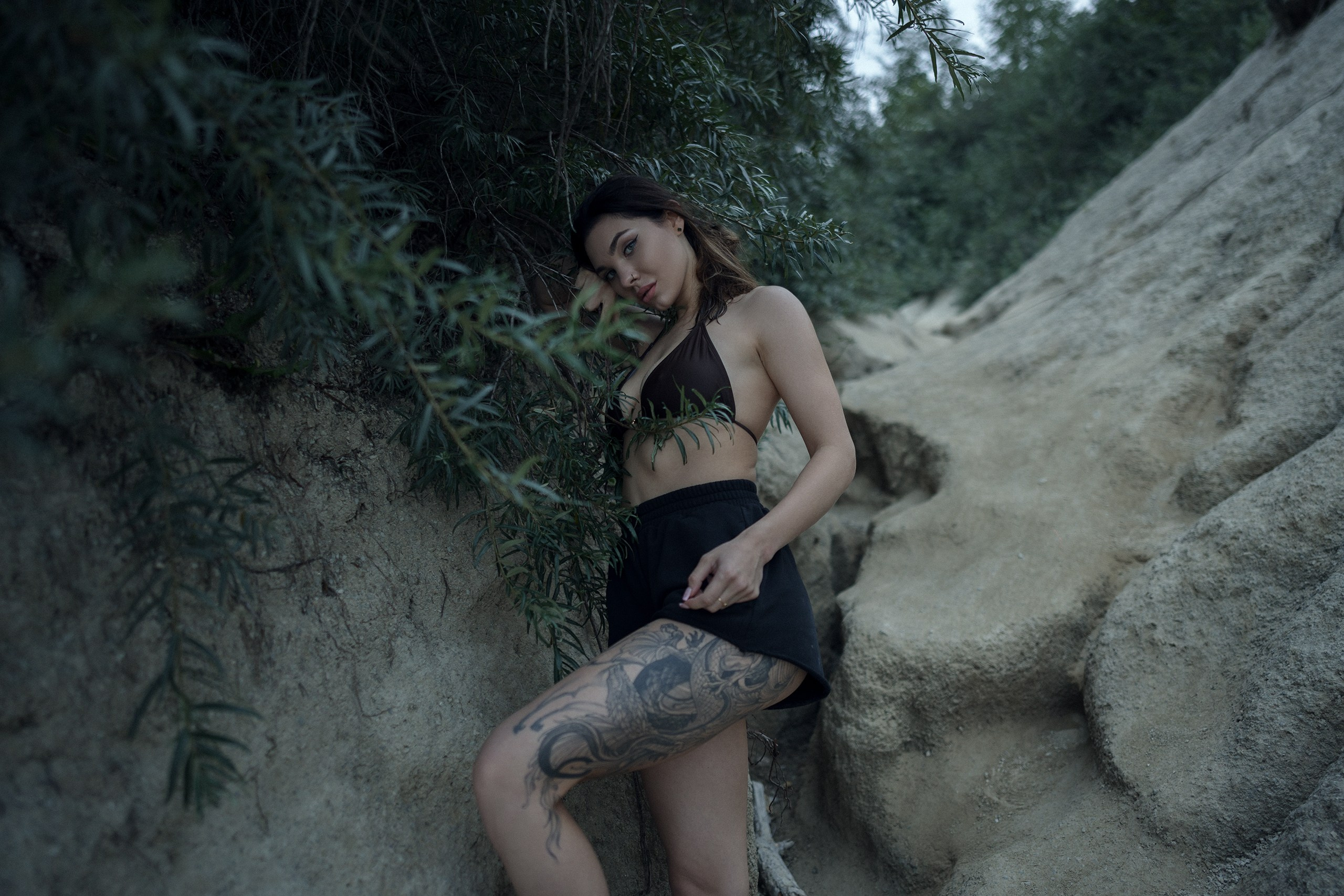 Vanessa