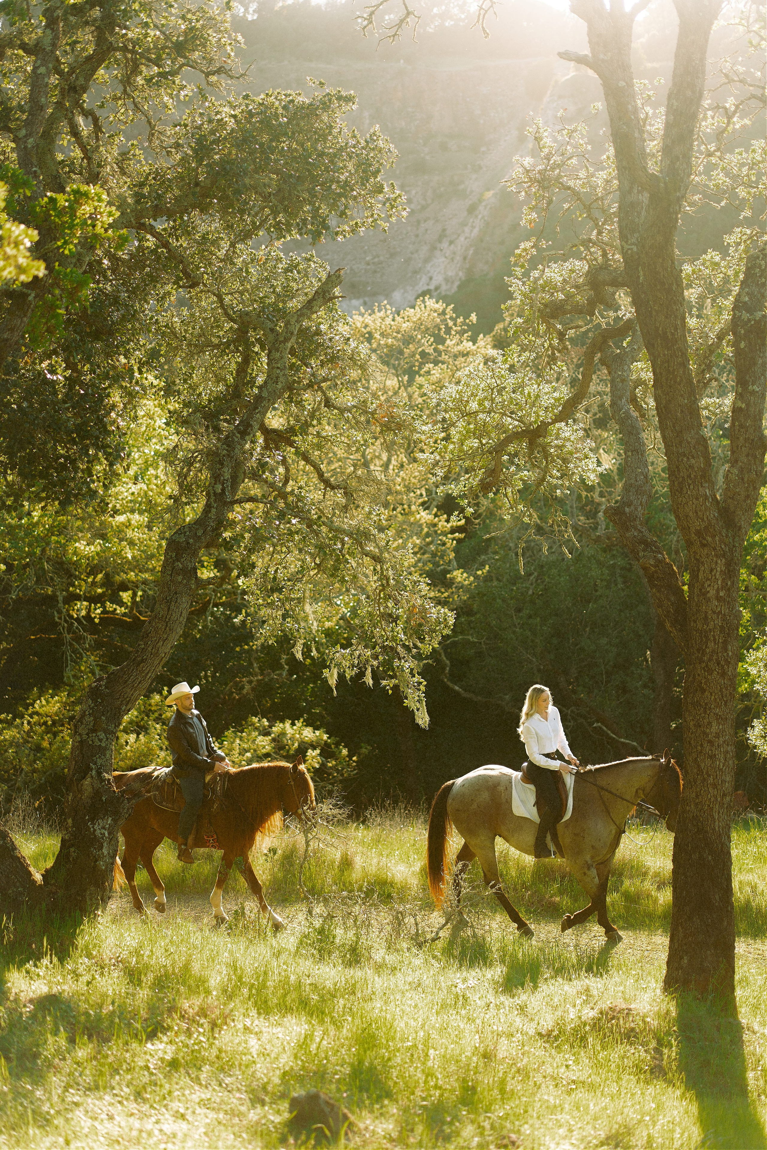 Engagement with Horses, Napa, Northern California. Wedding Photography & Videography Team in California, Los Angeles, San Francisco, San Diego and Travel