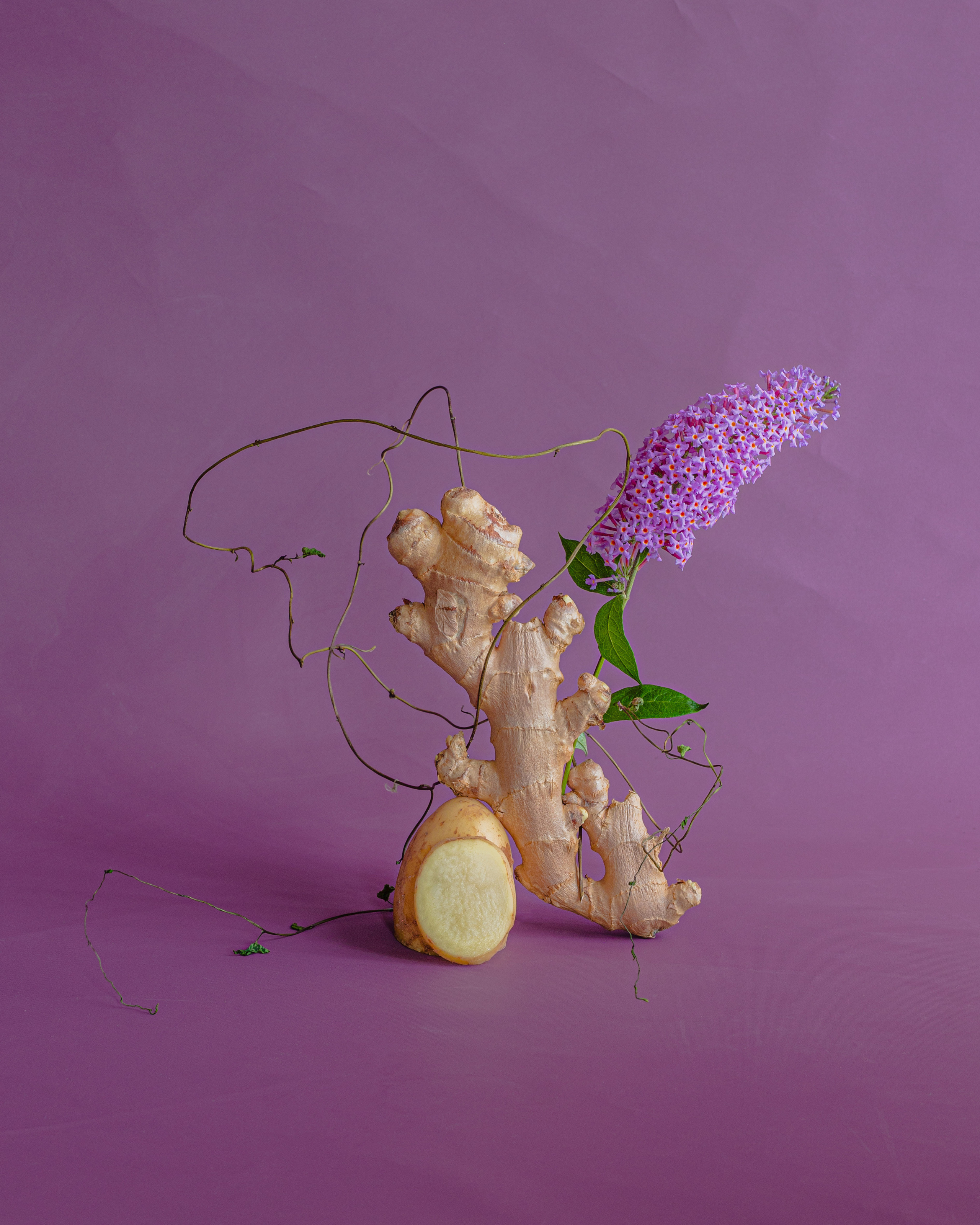 contemporary still life  with rot vegetable