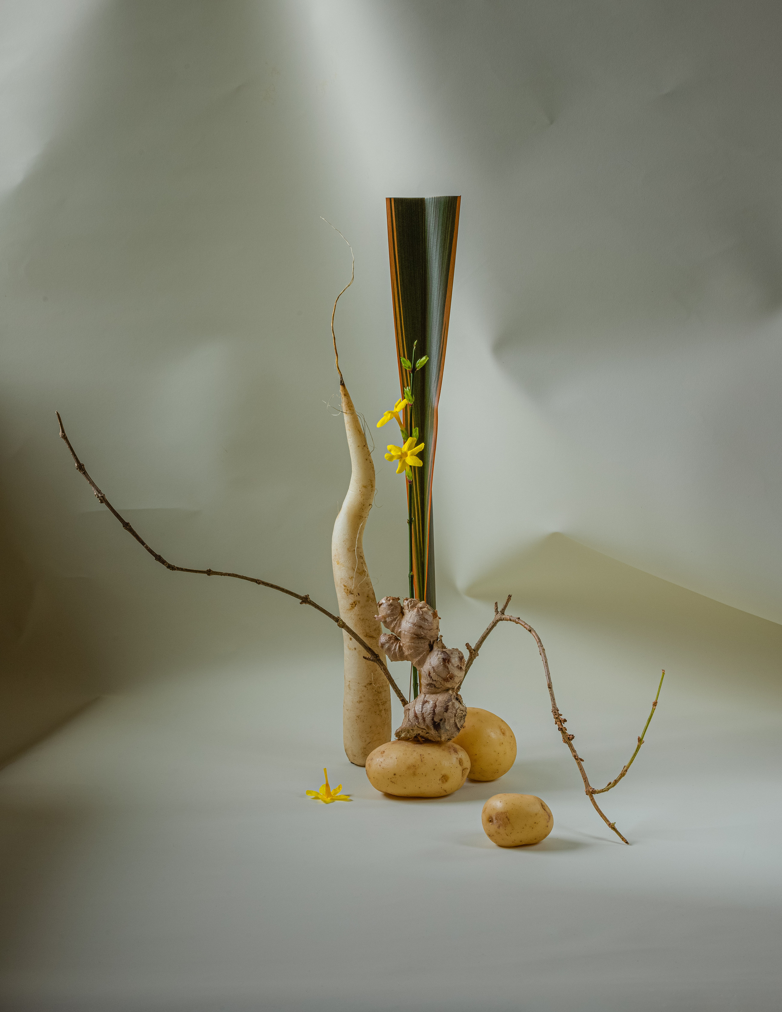 contemporary still life  with rot vegetable