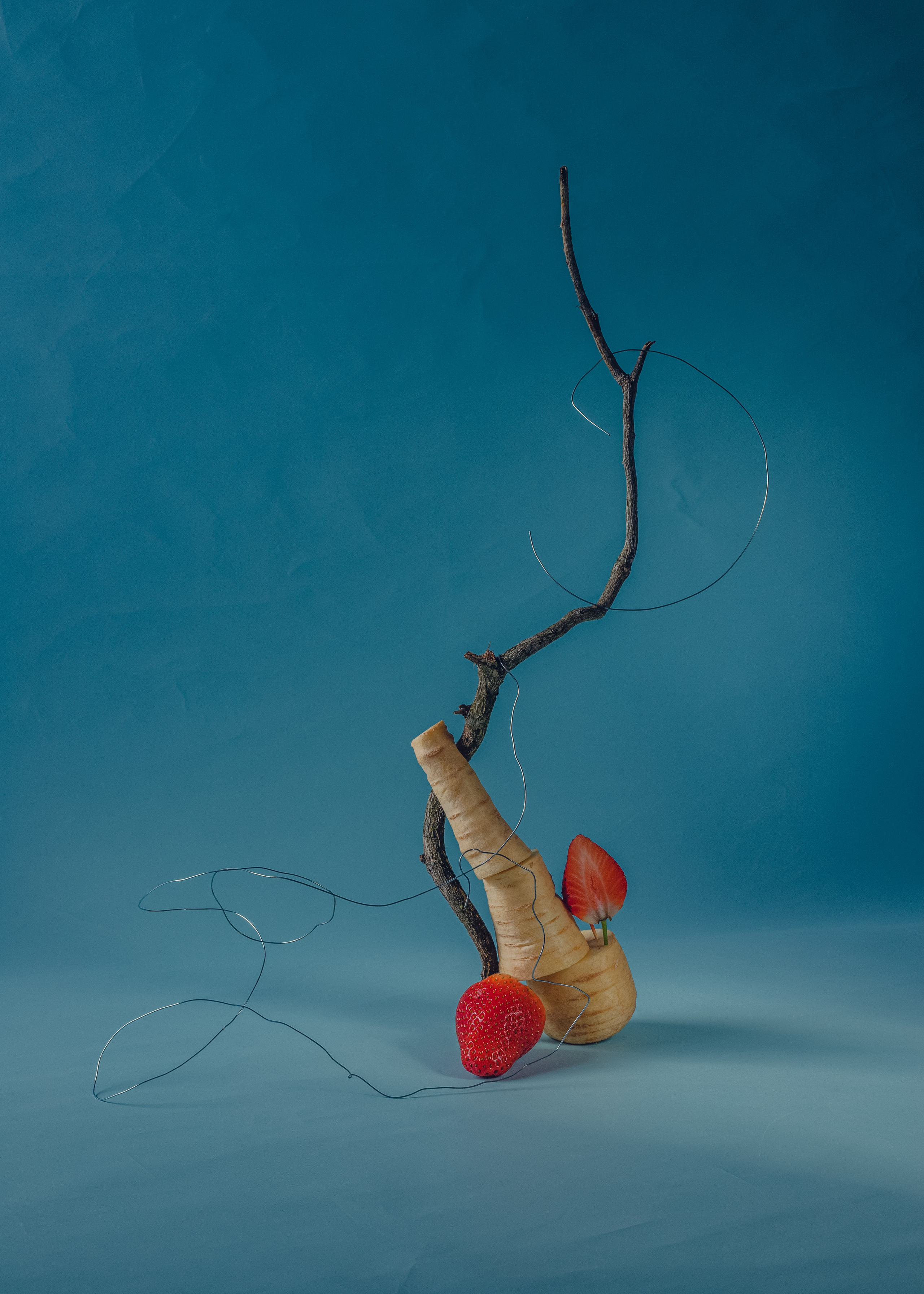 contemporary still life  with rot vegetable