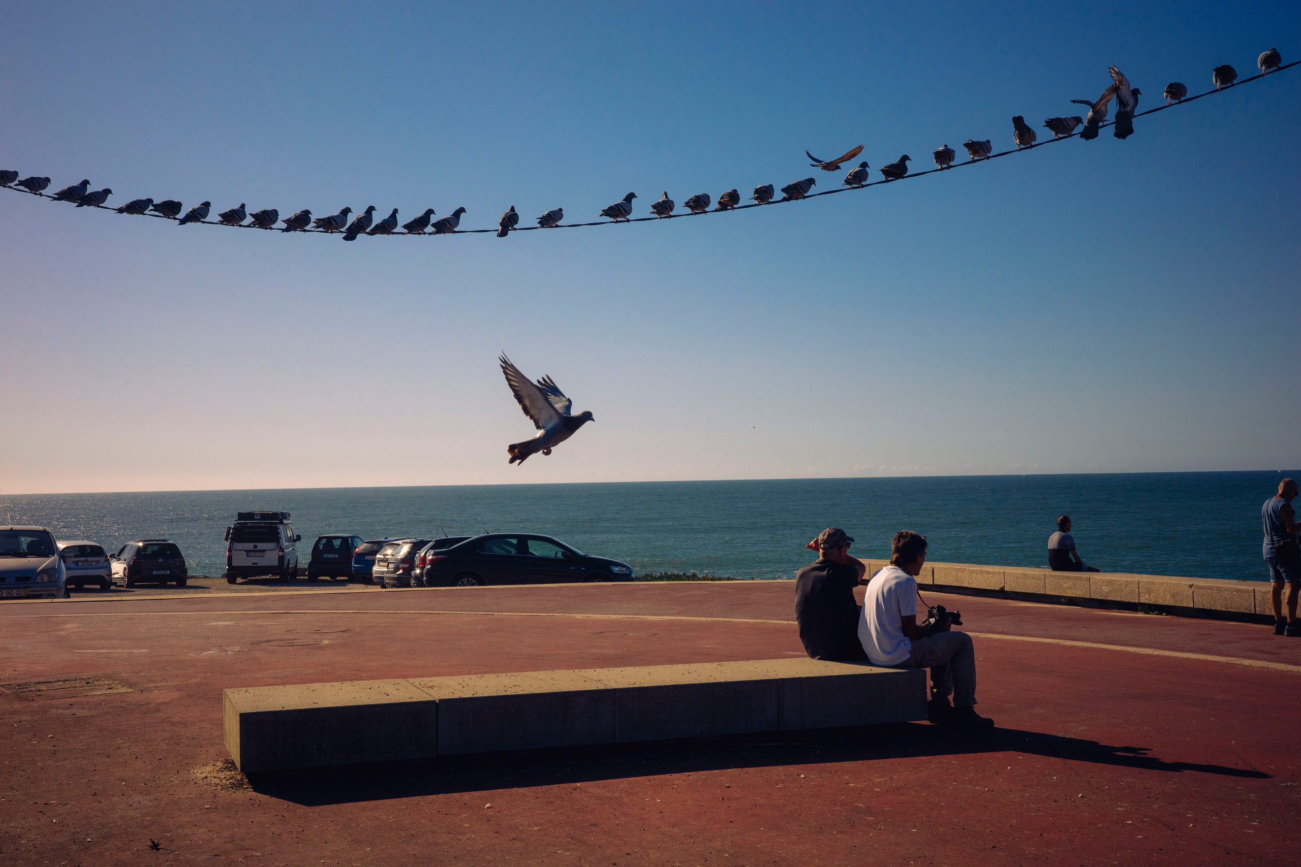 Работы Марии Шер. Sher.SCHOOL