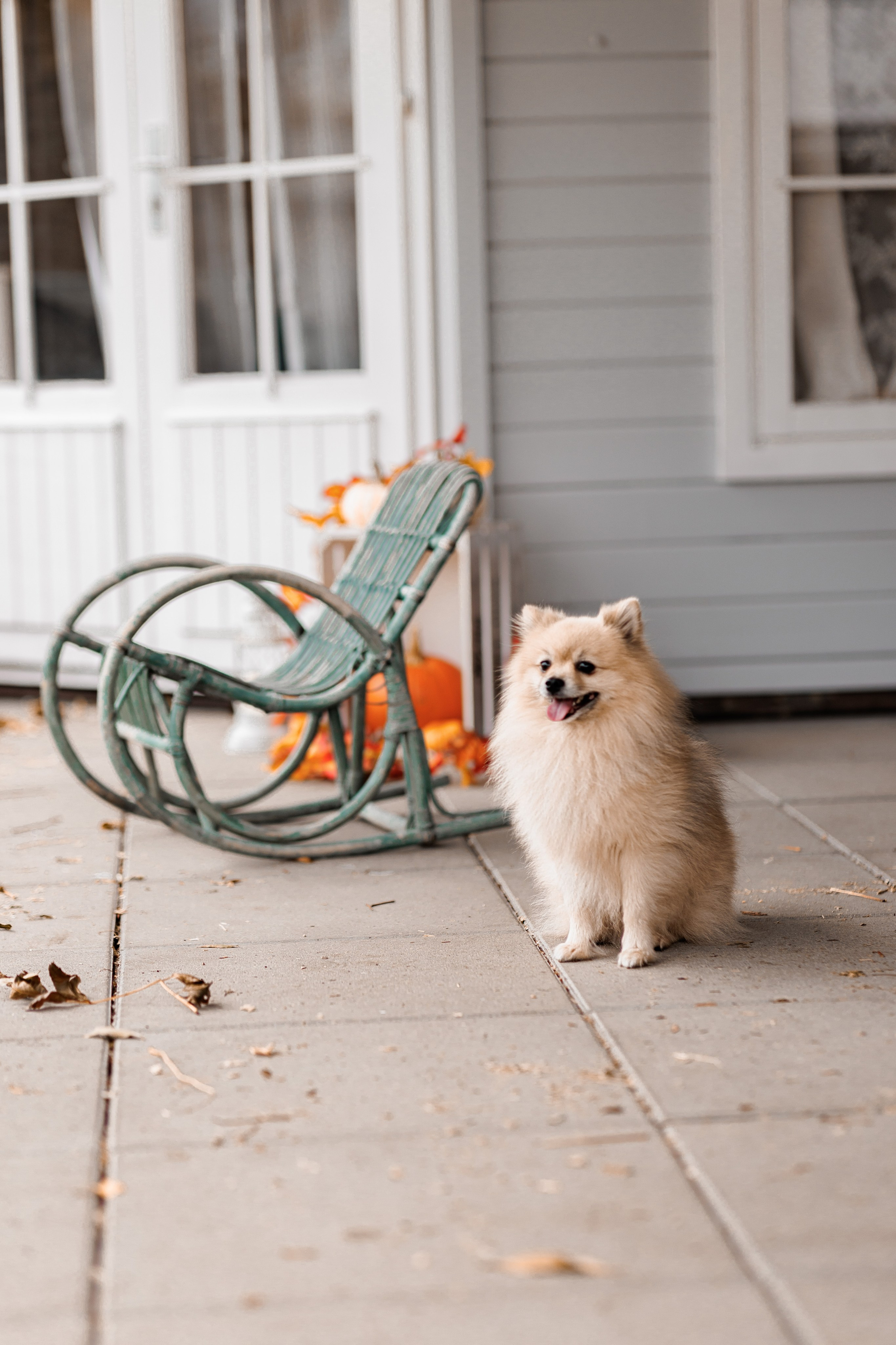 LANDHAUSE. Family Fotografer in München und Umgebung