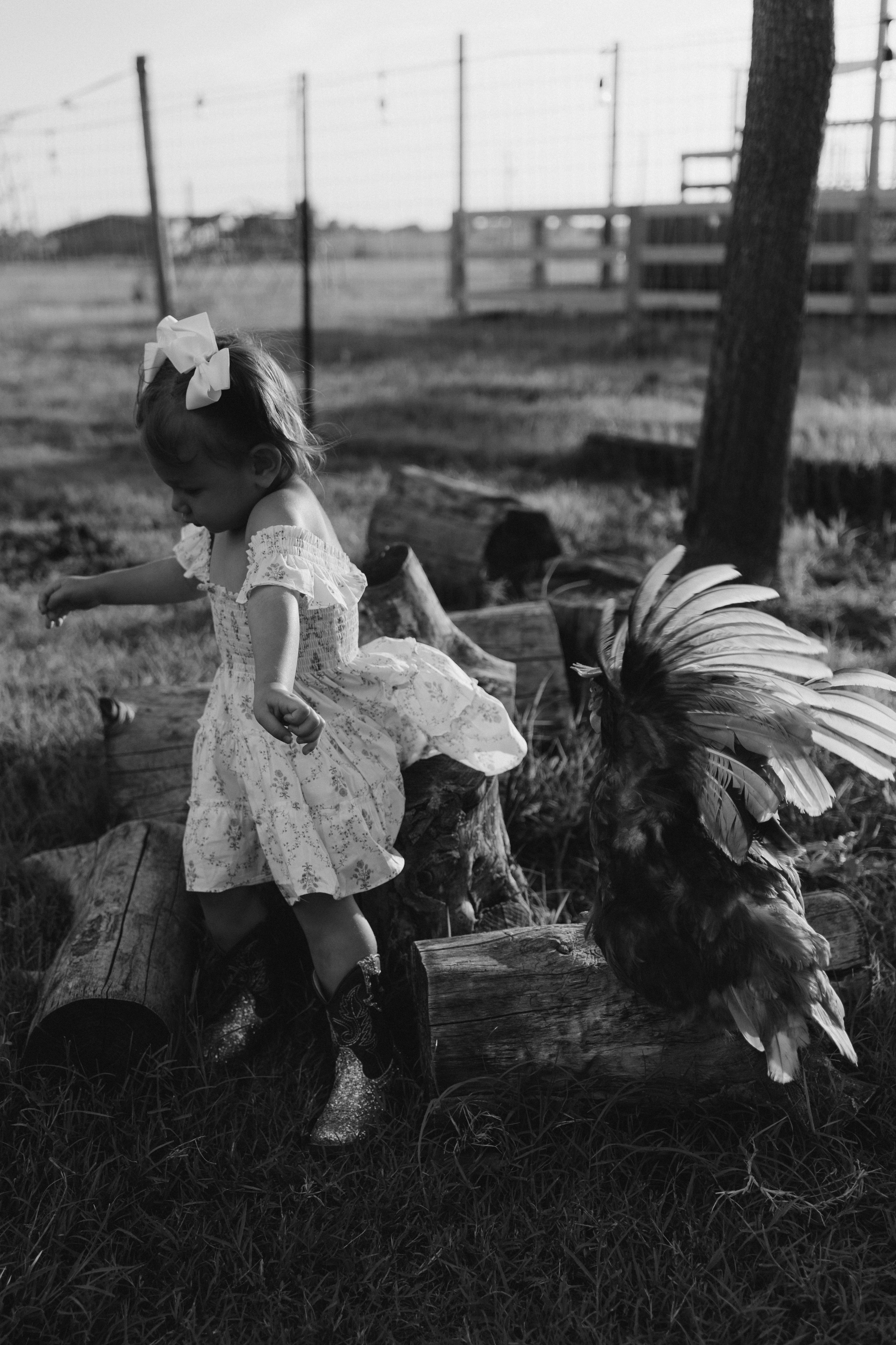 Summer Moments. Lens Captures Life