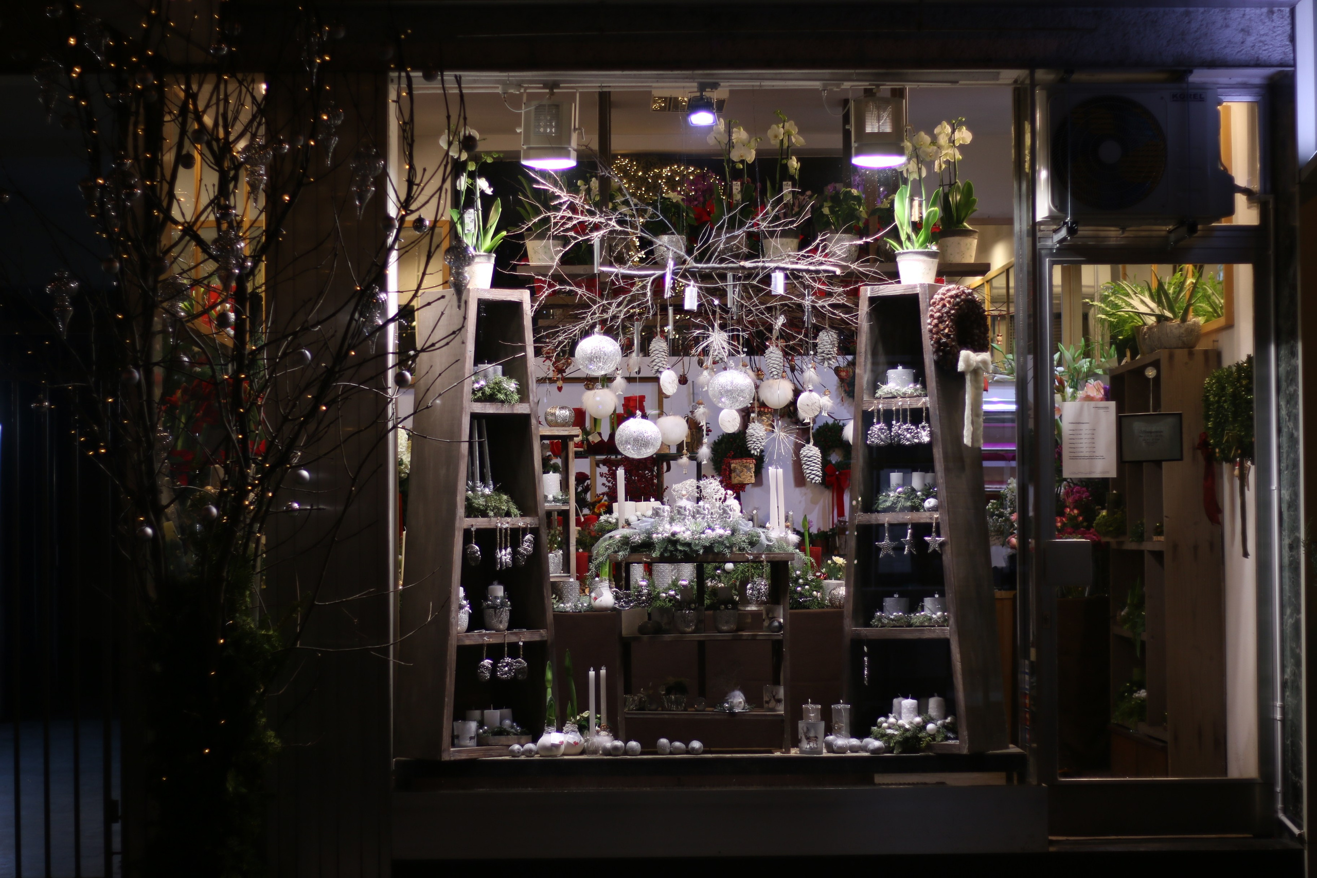 Vienna, Dec.19. Kseny Kolesnik Photography