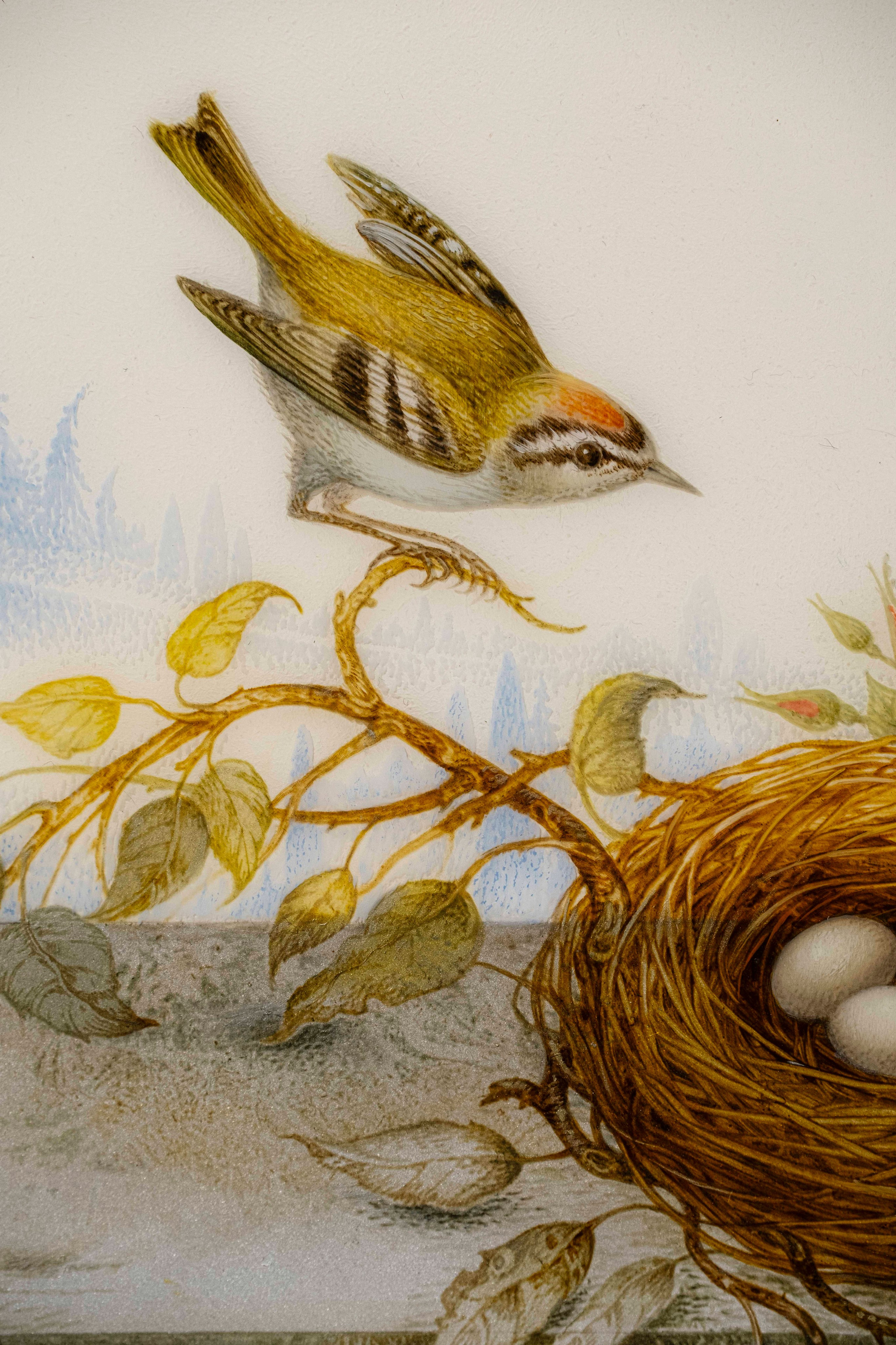 Still Life with a Nest. Marina Rogatova