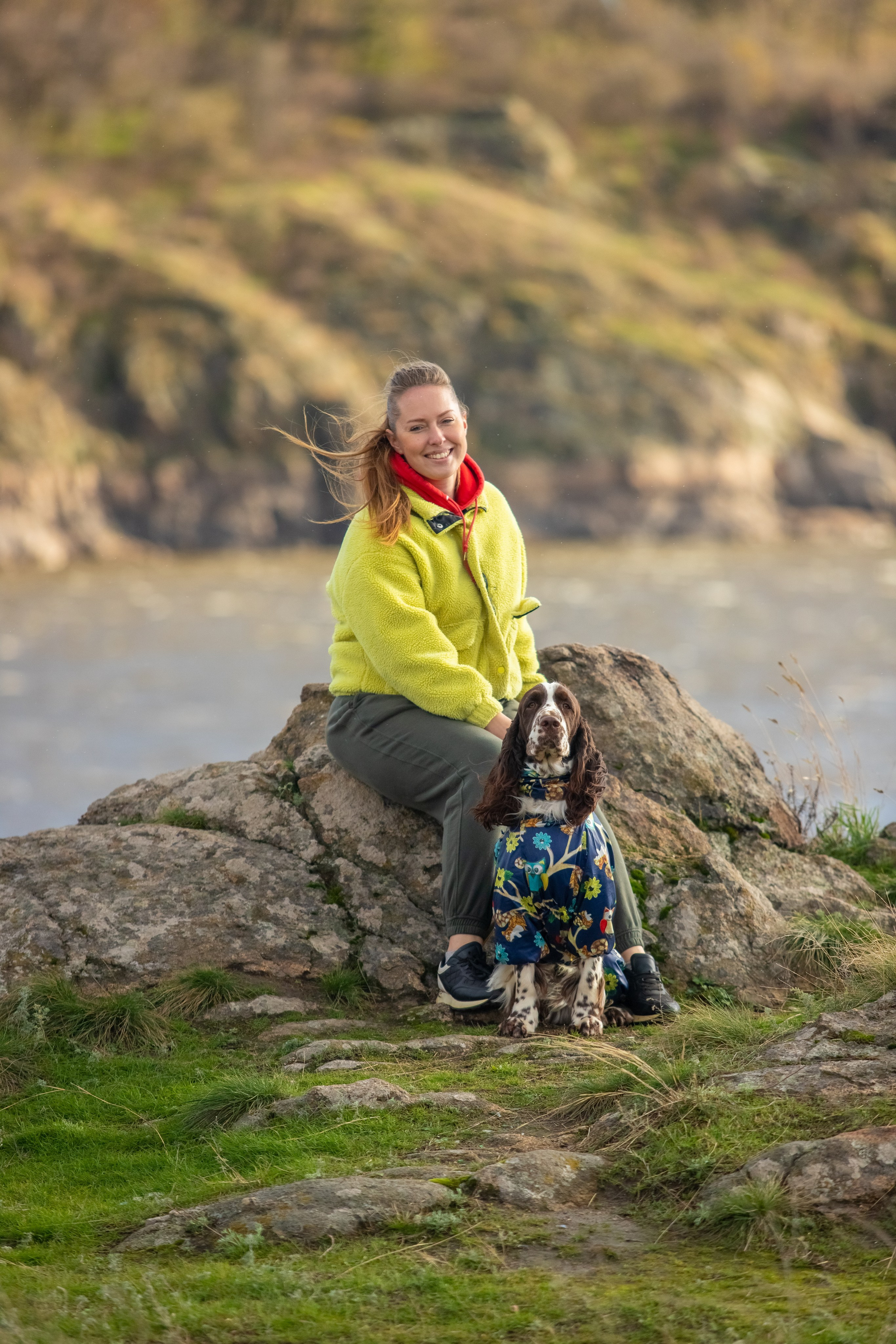 portrait of an English Springer Spaniel