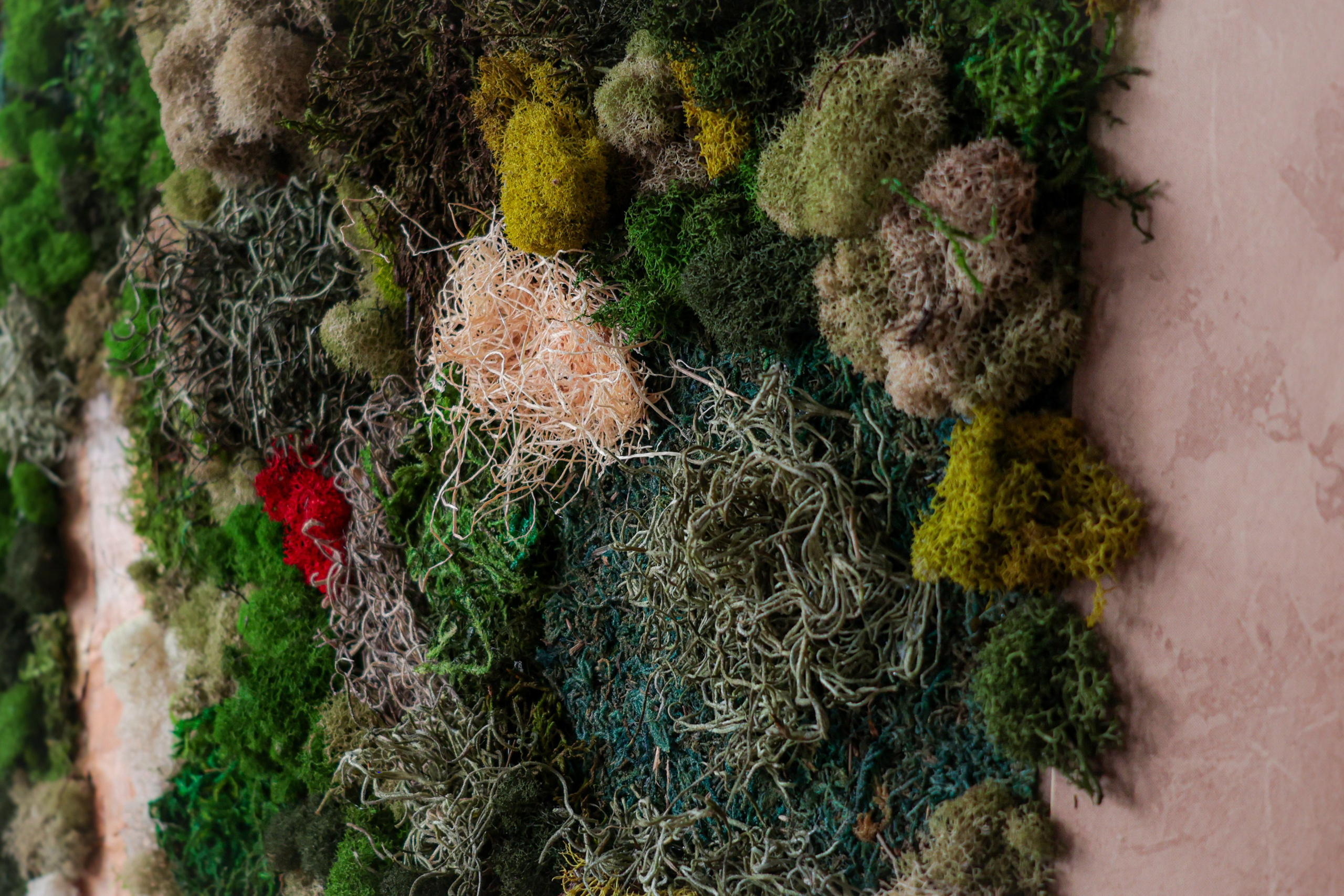 Anna & Moss magic, Content. Yana Bobrova | Artistic Photography