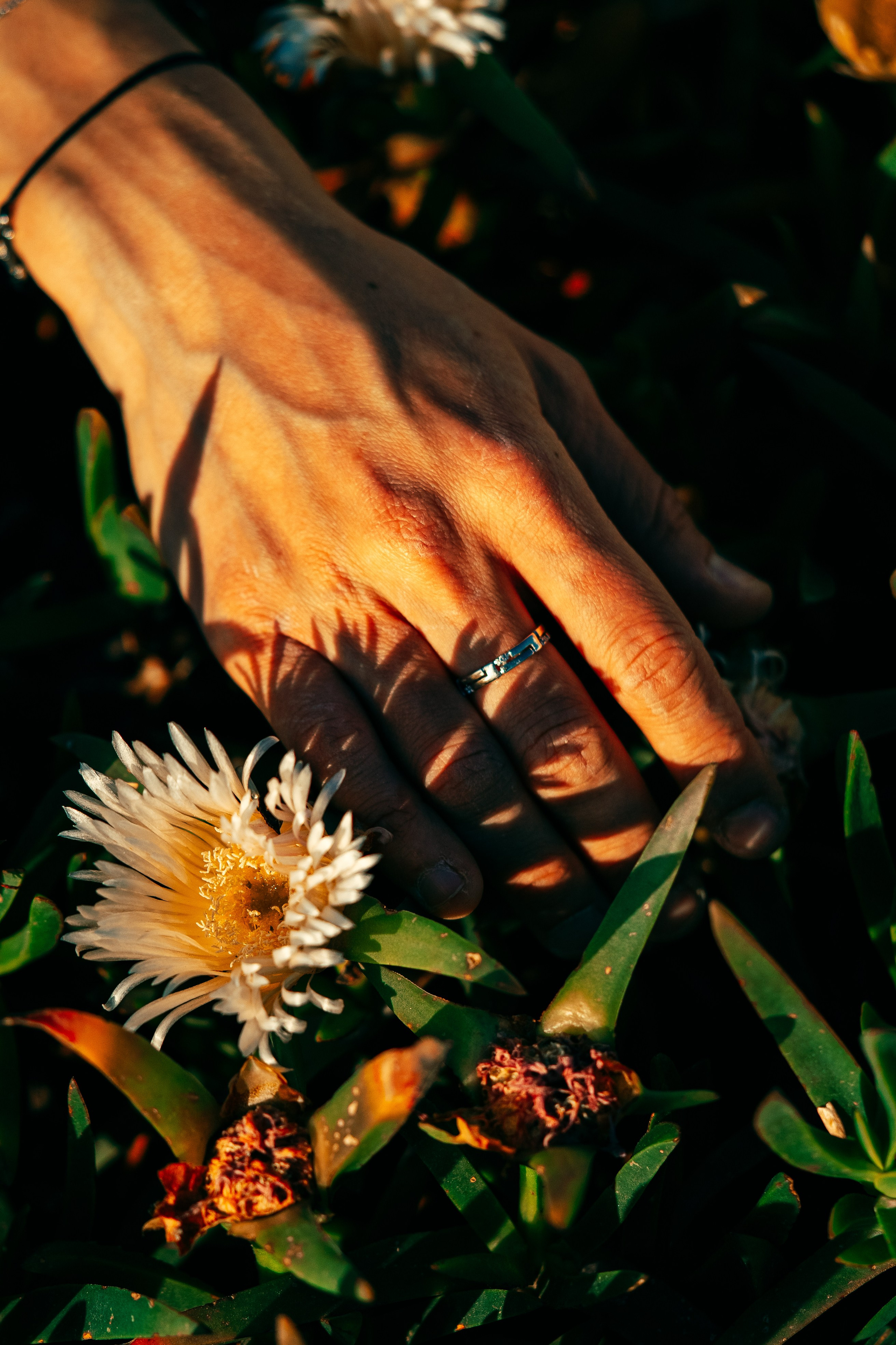 Zenya. Мария Шер. Профессиональный фотограф в городе Порту, Португалия