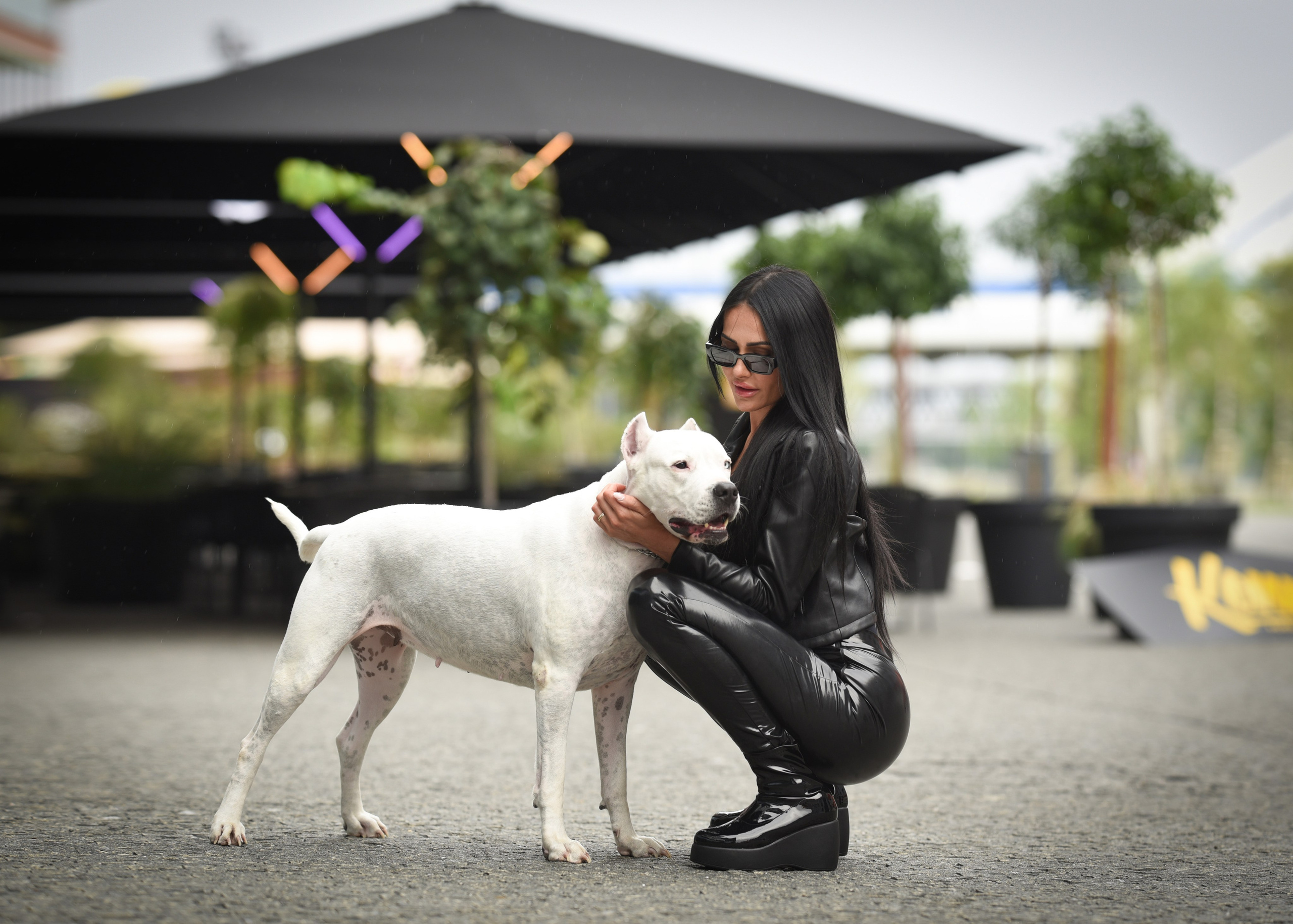 Patrik, Adel & Patrik jr. Photo Vienna and Bratislava