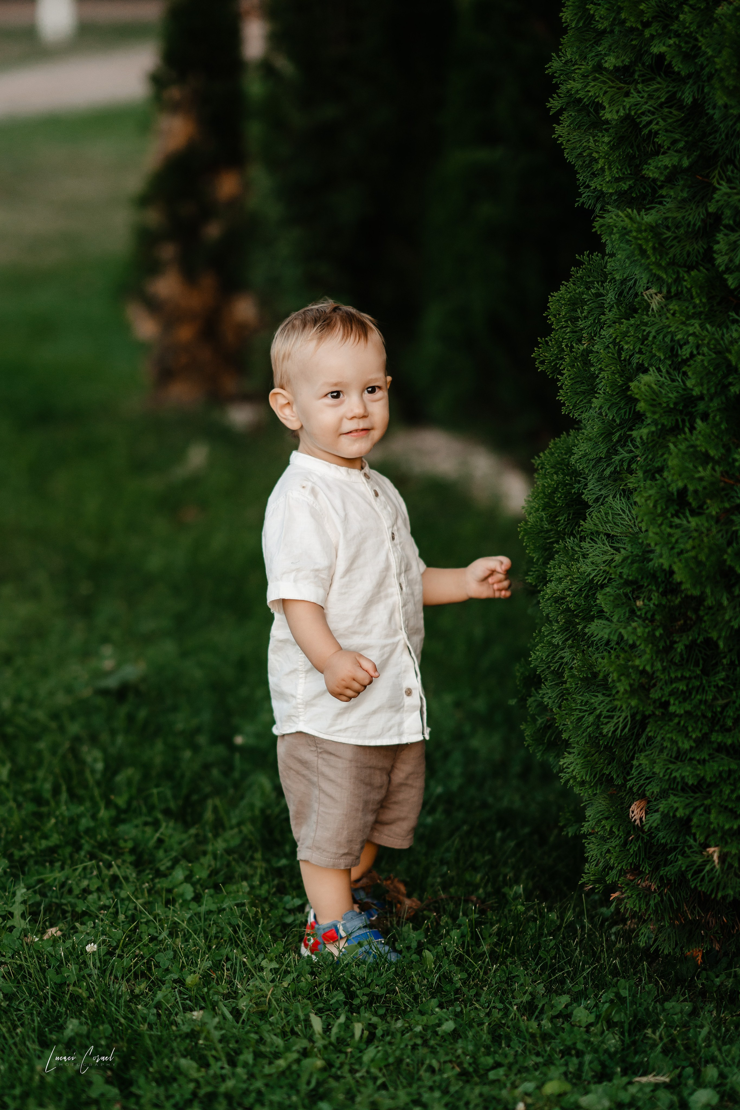 Roxana & Andrei – Nuntă de vis. Fotograf de nuntă, corporate, botezuri, majorate și aniversări Roman, Lucaci Cornel