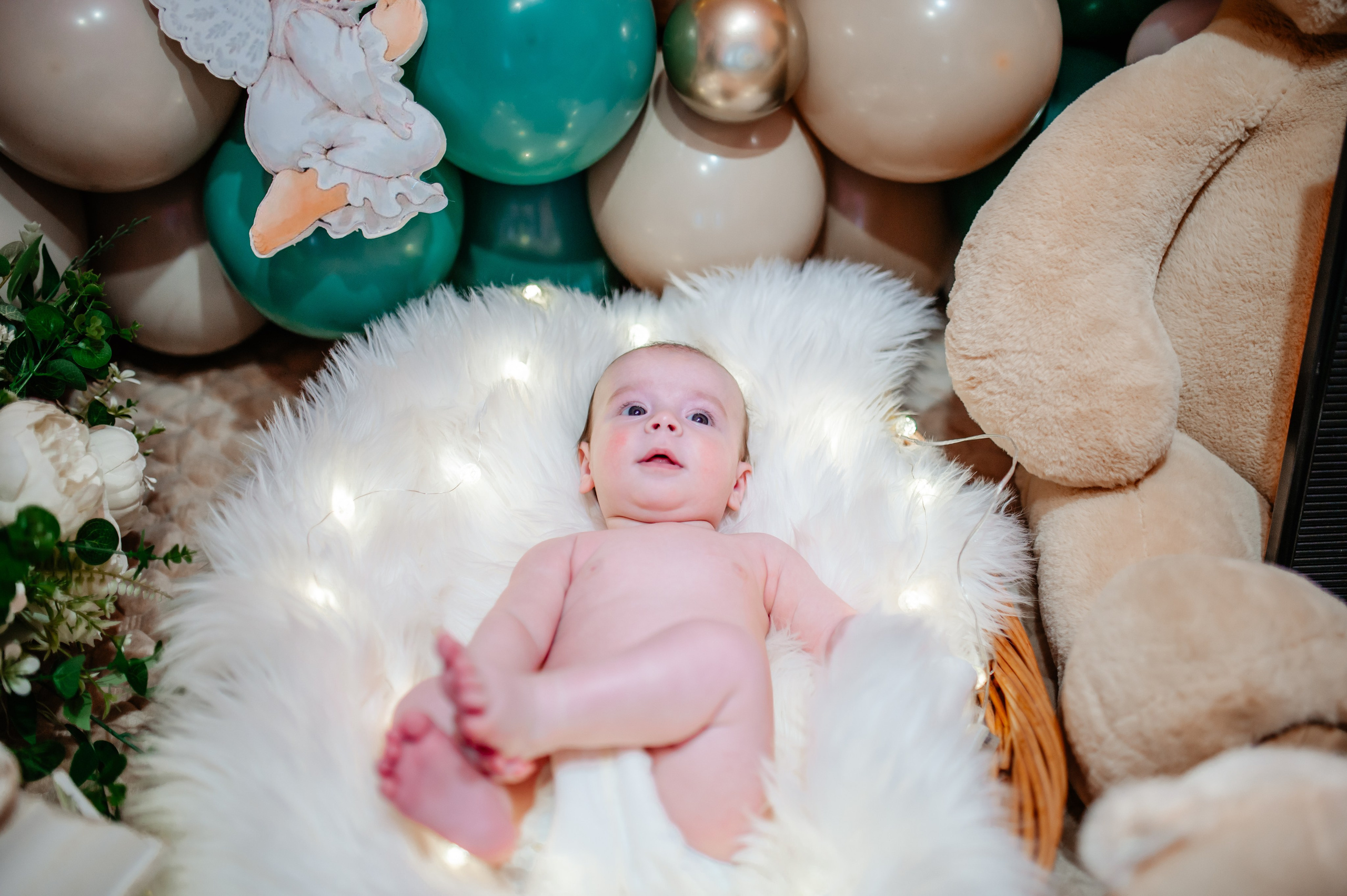 Botez Eduard. Ionut Birceanu