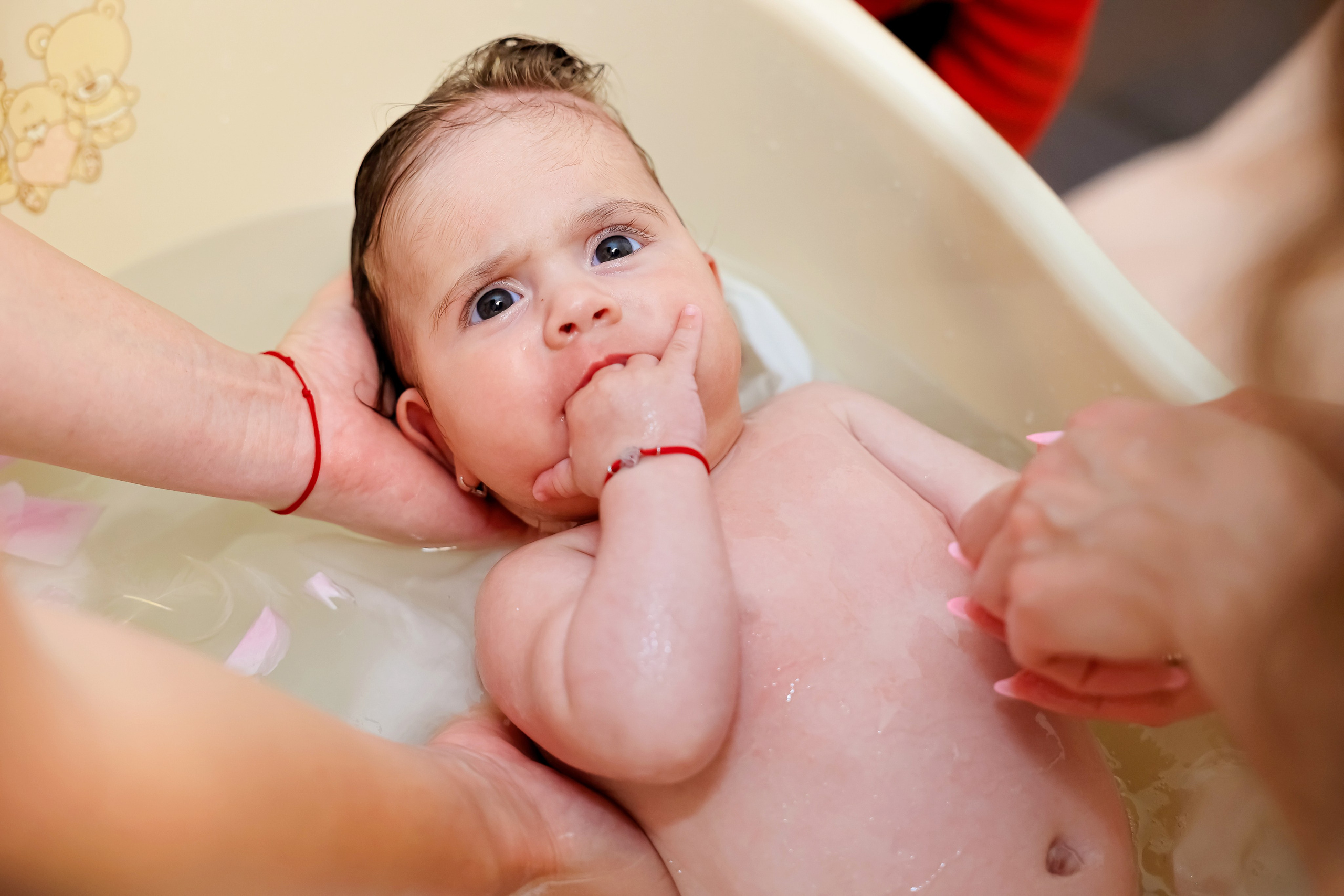 Iris Stefania. Moments By Gub