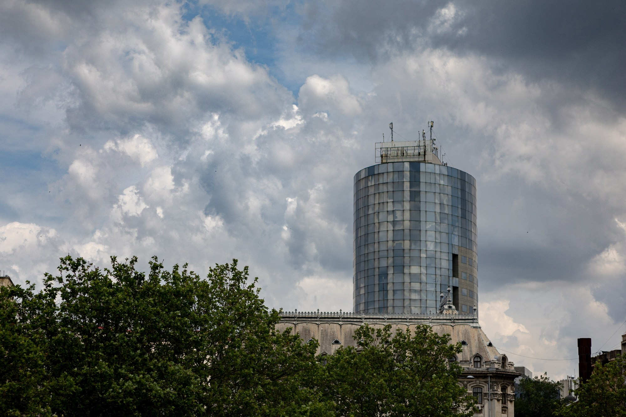 The Grid. A Creative Insight | Catalin Nastase