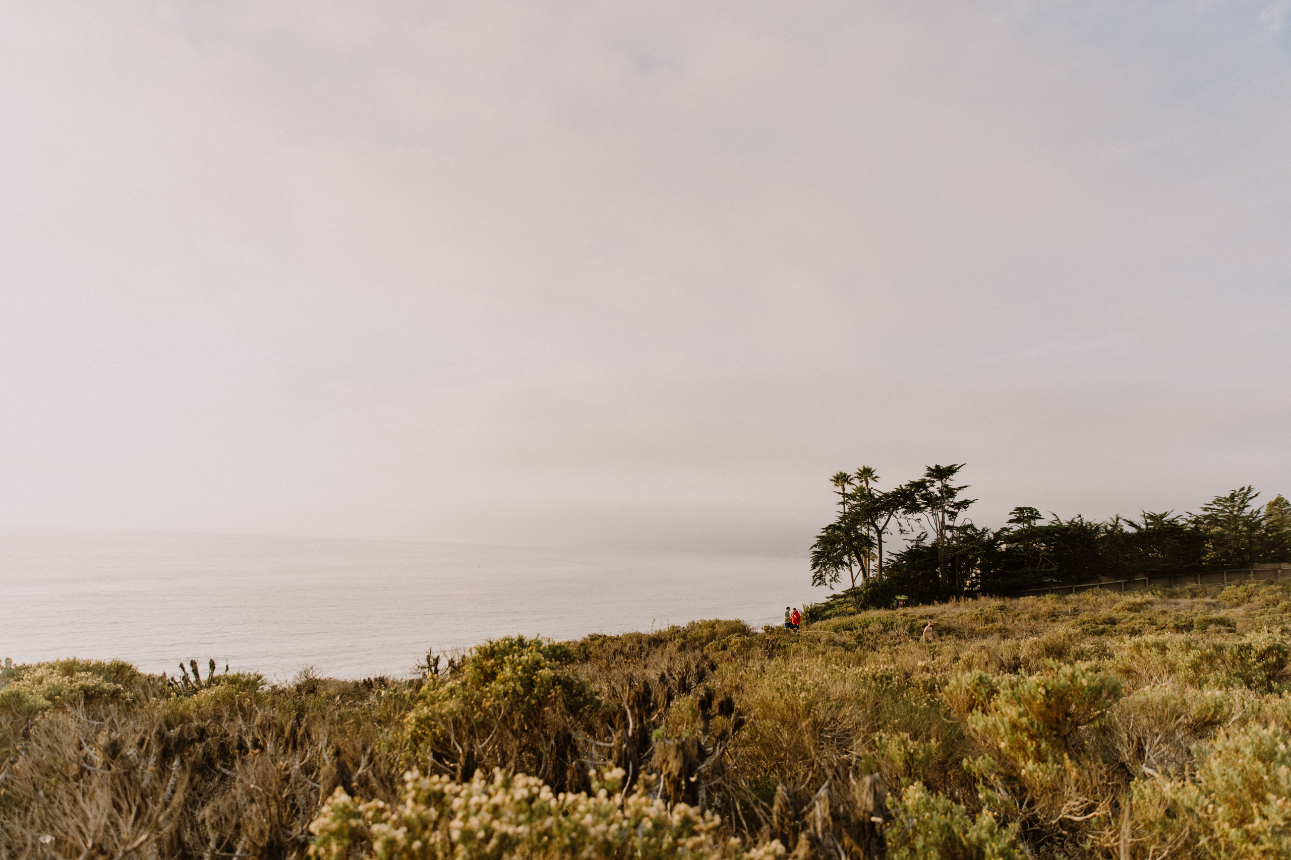 Proposal Session at Point Dume, Malibu | Taya Frank. Southern California Family and Couple Photographer