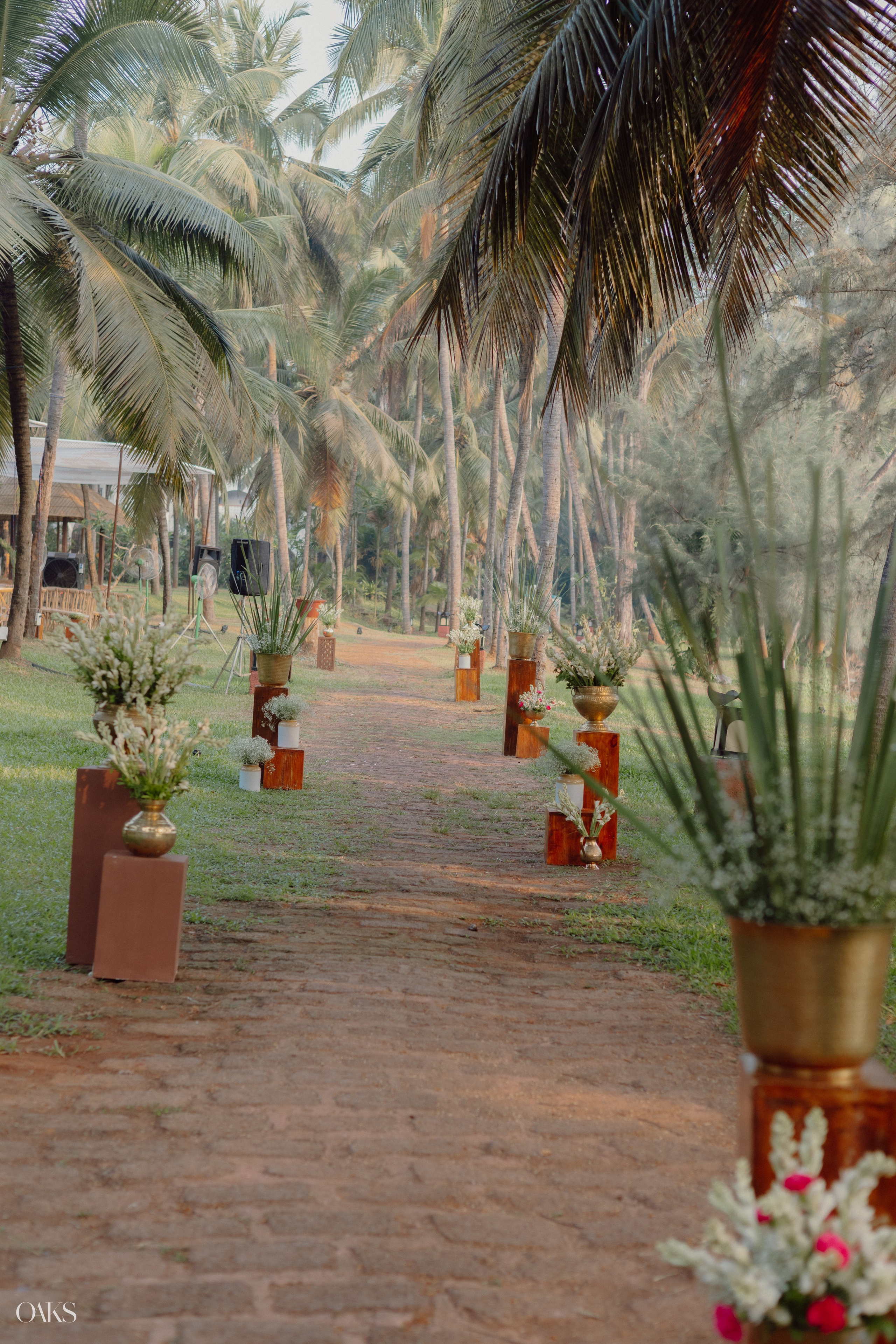 Jahanavi & Daniel. Wedding & Editorial Photographer | Anandshivadas