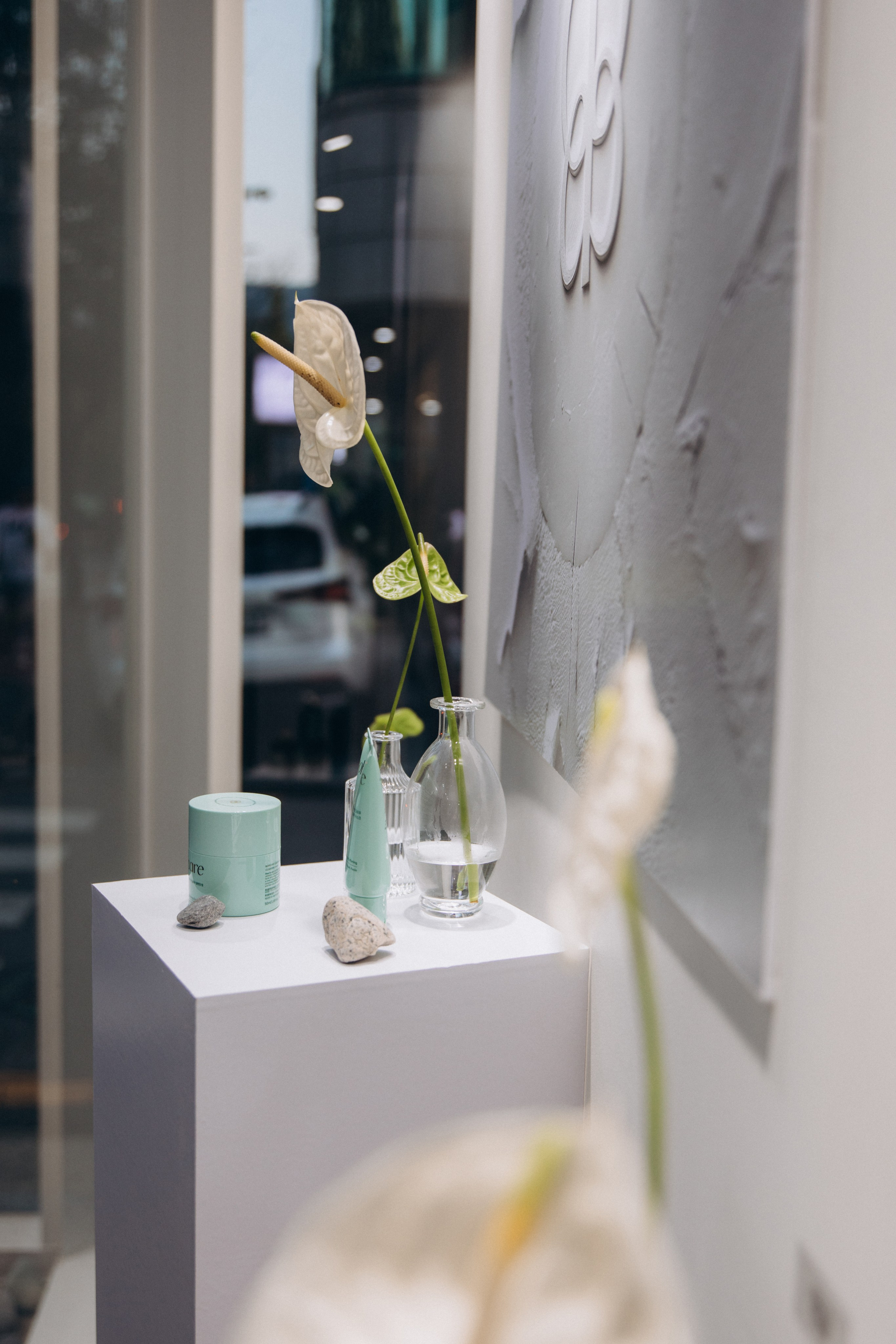 THE ART OF RENEWAL/ bohicare (2024). Студия декора «Нарния»