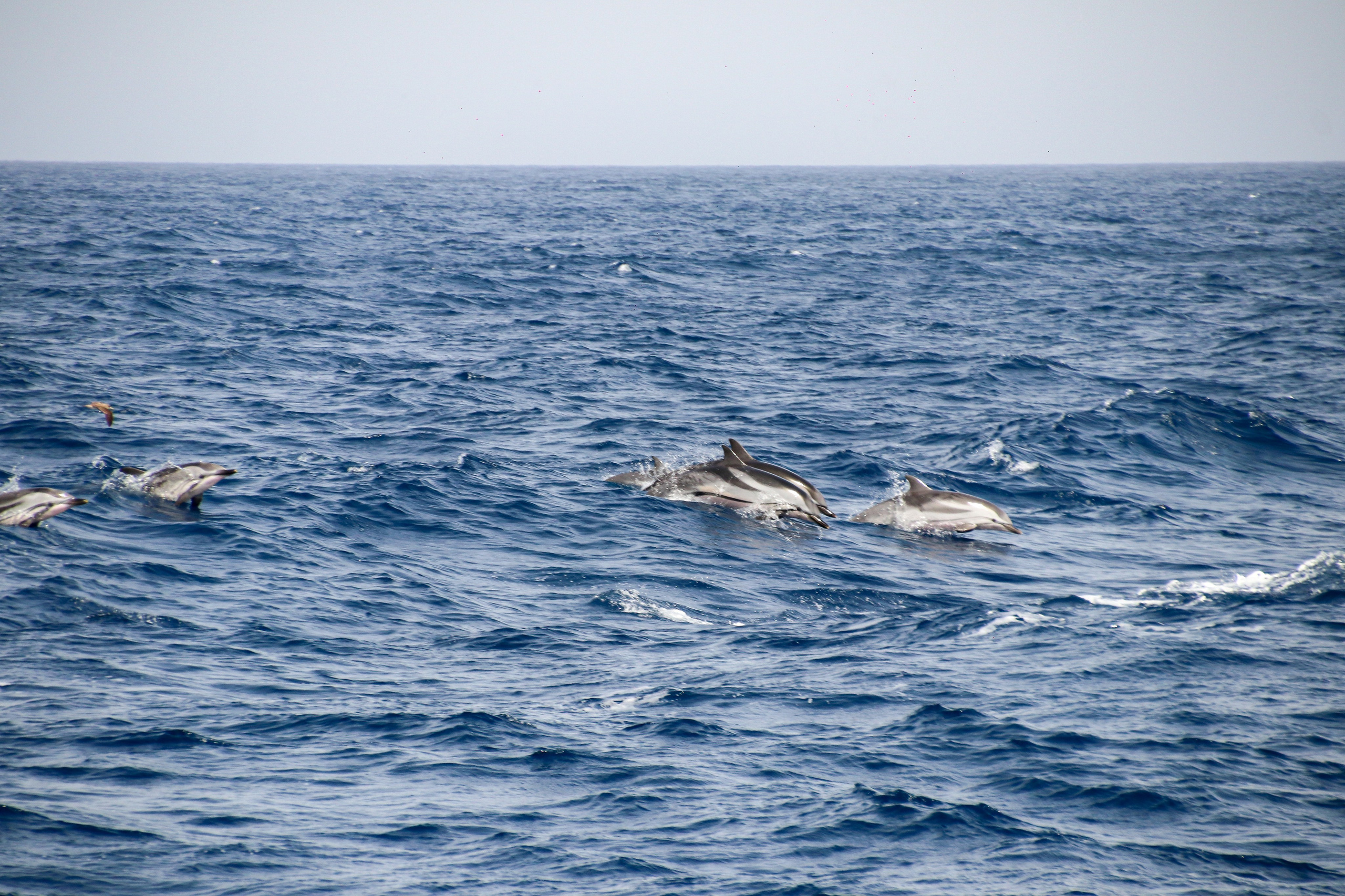 Gran Canaria 2025. Photographer Marina, city of Nuremberg