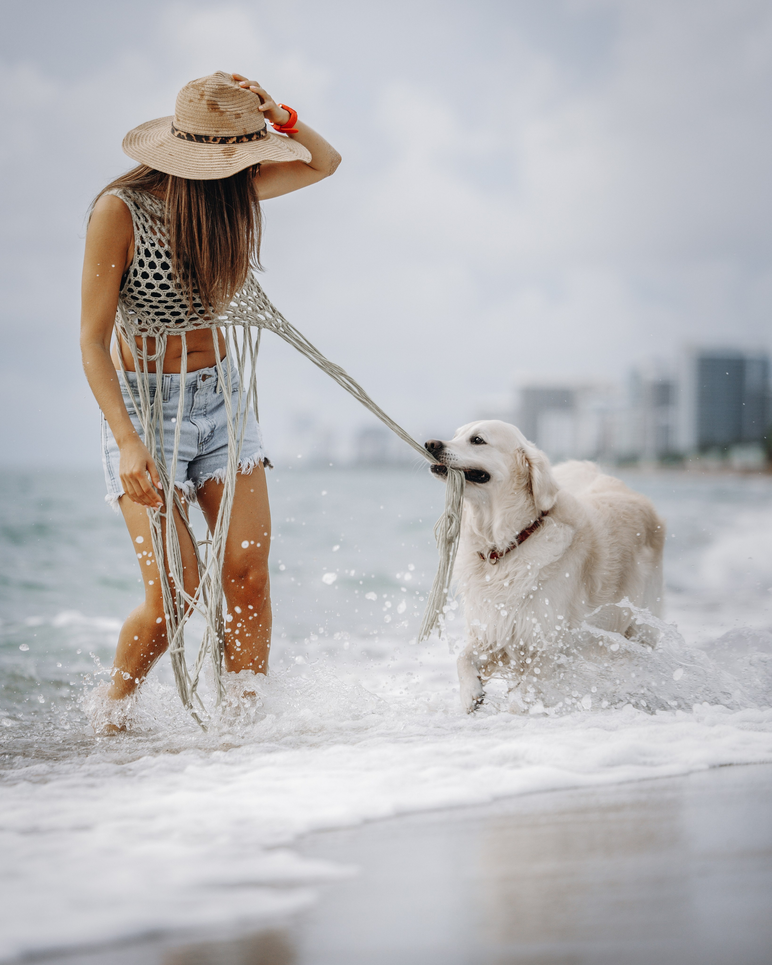 Robby & Asya. Pet Photographer Viktoriya Aleshenko