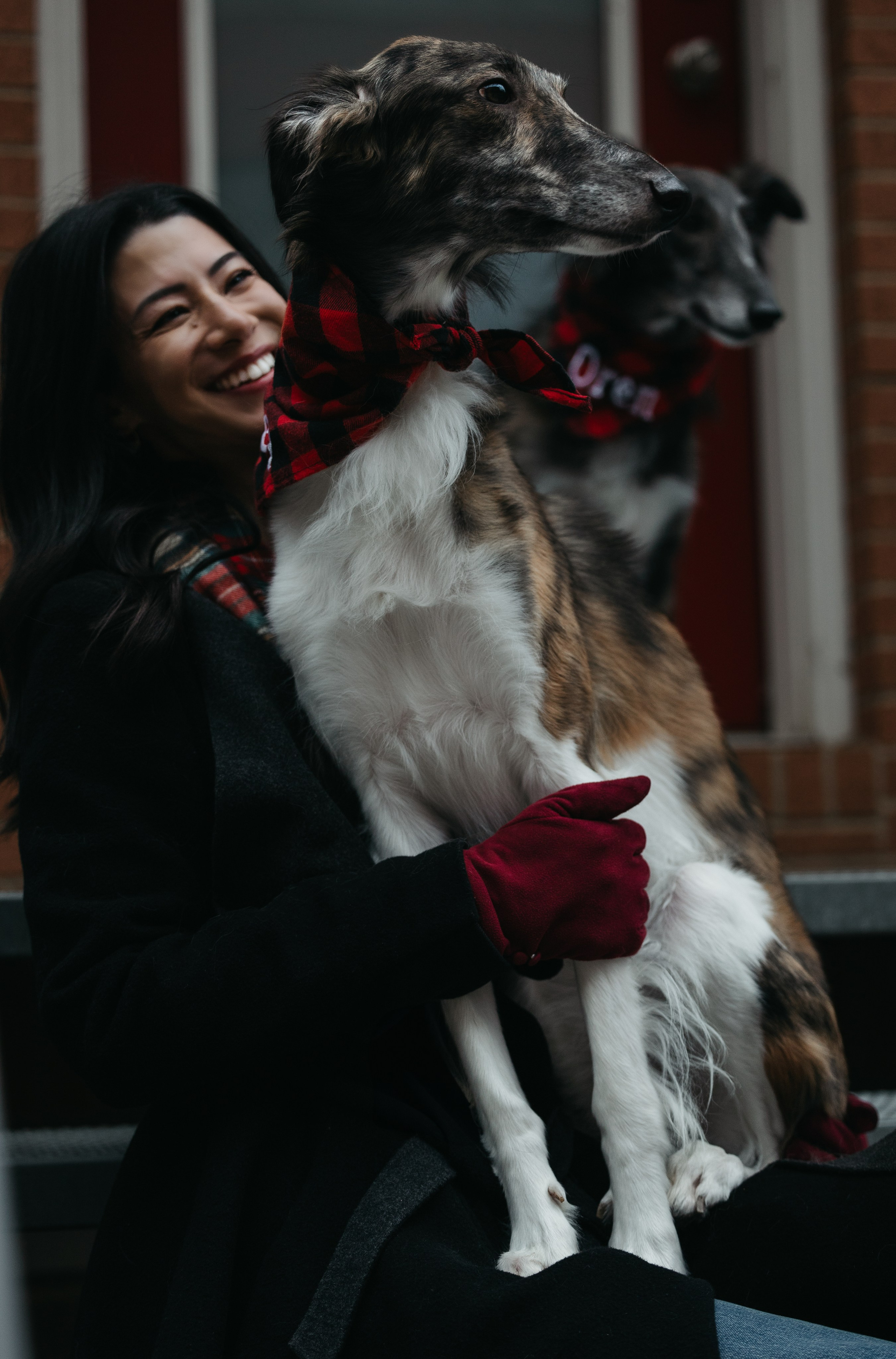 Luca, Oren & Mia. Pet Photographer Viktoriya Aleshenko