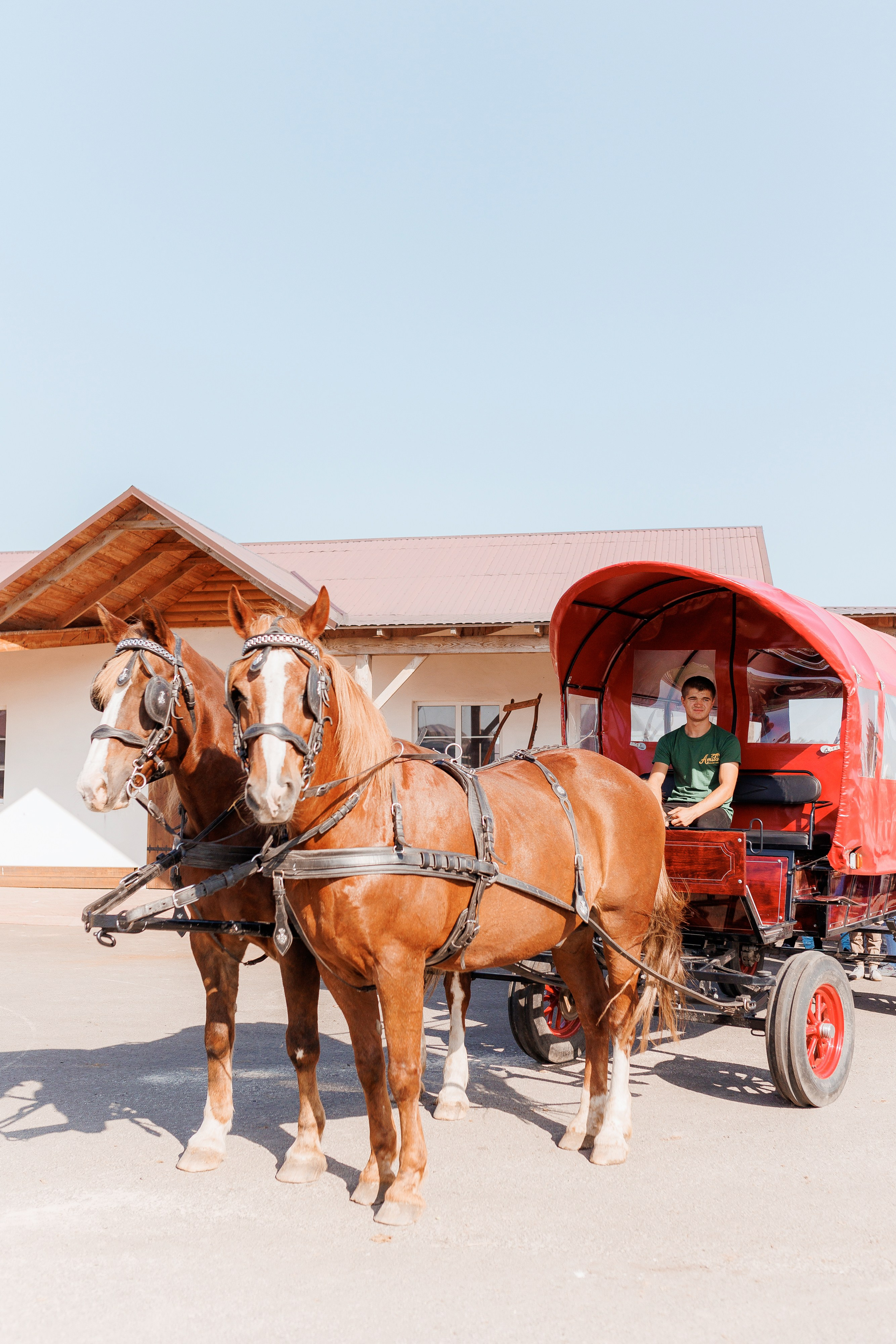 Екопарк Аміла. Ірина Терещук