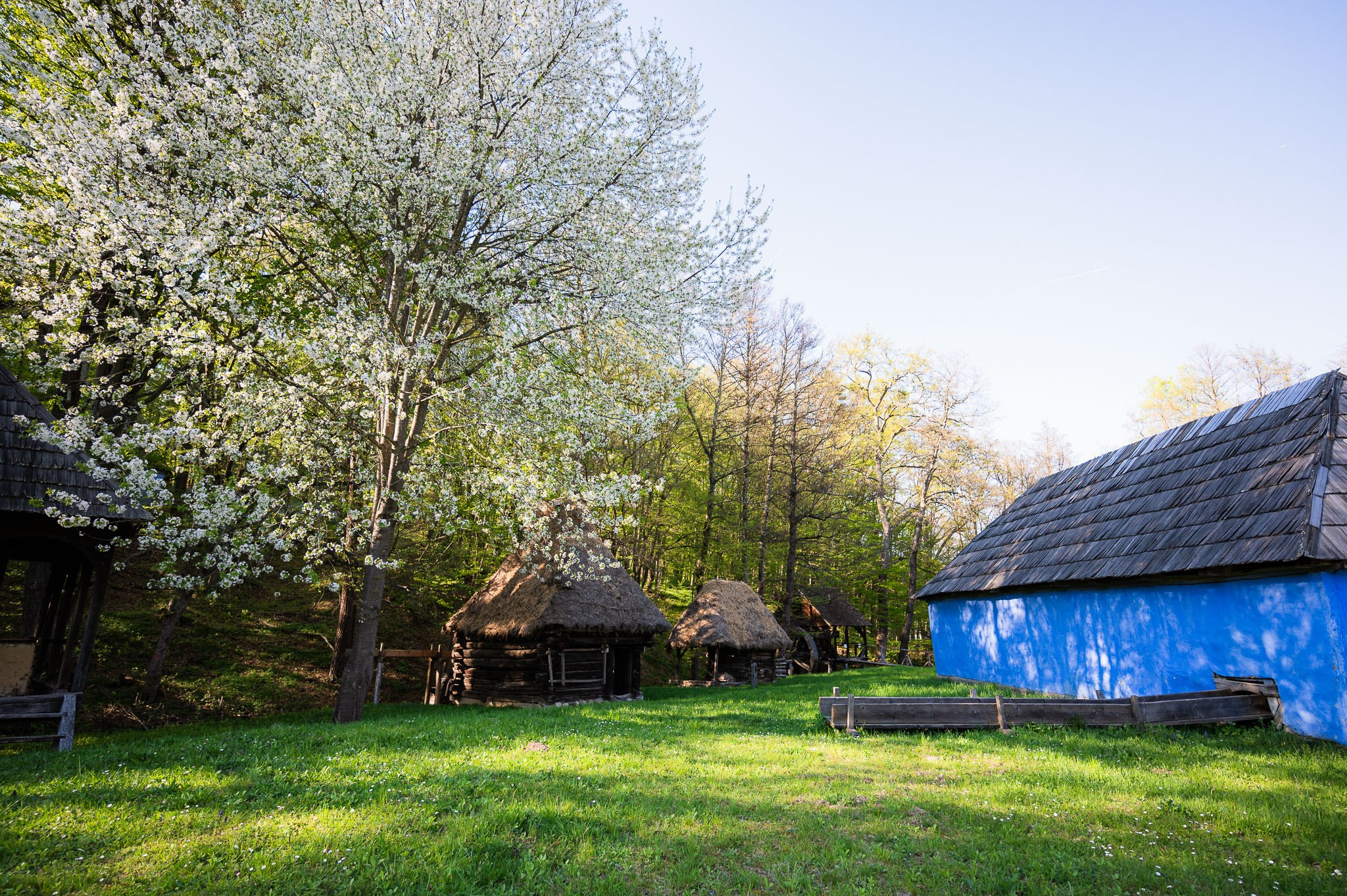 Sedinta love story Larisa&David