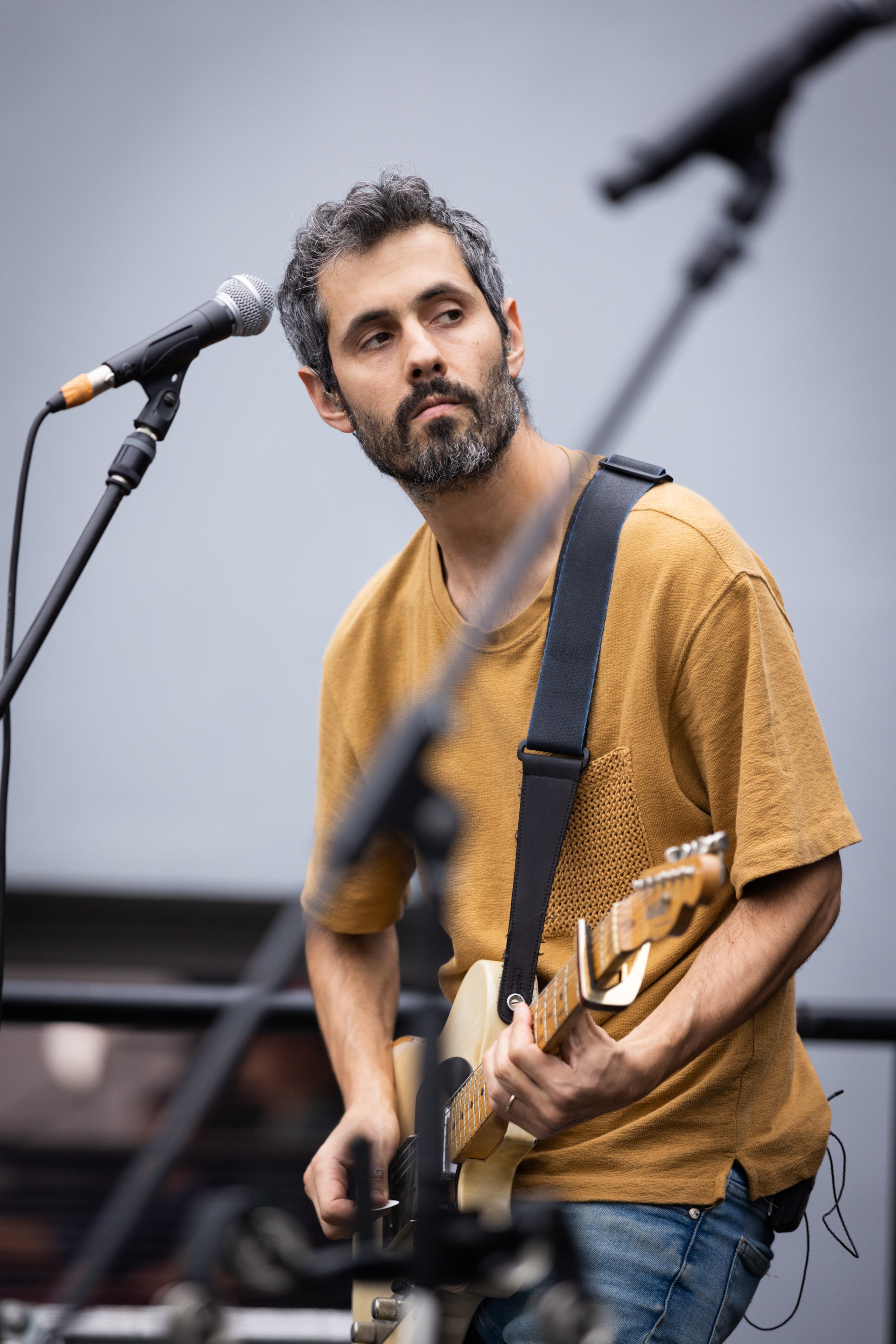 Shows. Noam Paradise Photographer