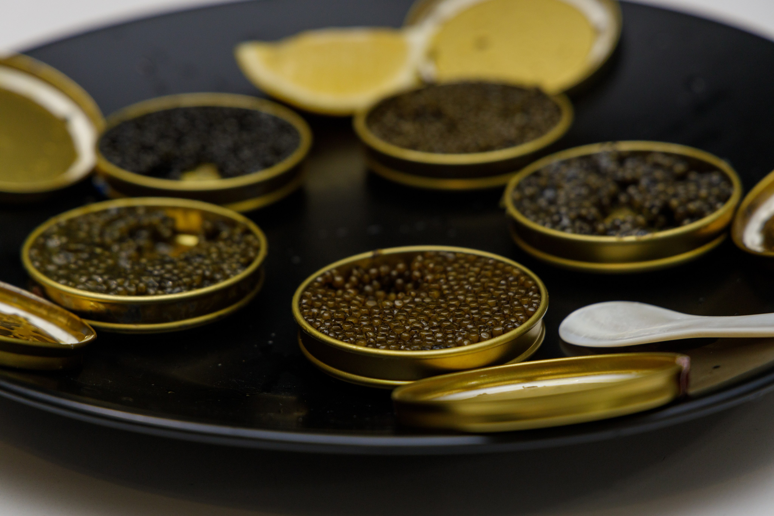 Caviar
