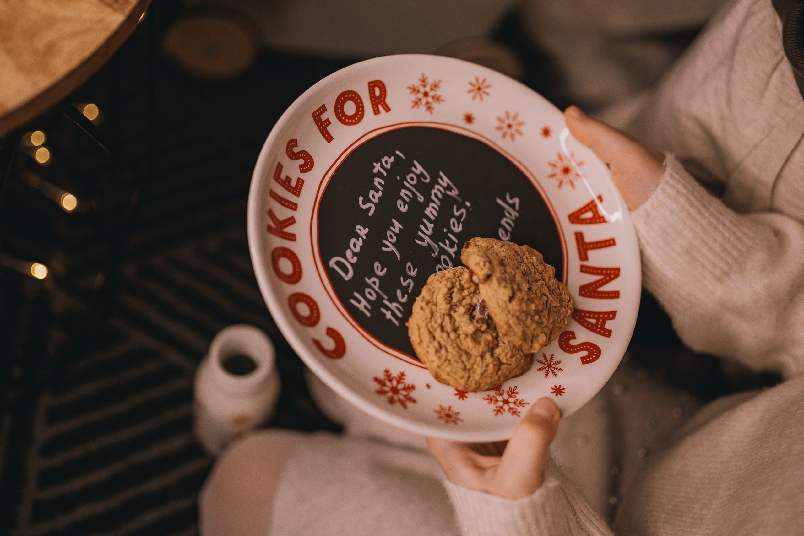 11.15.2025 Christmas Photoshoot. Wedding family event photographer in Chicago Nick Yushevich