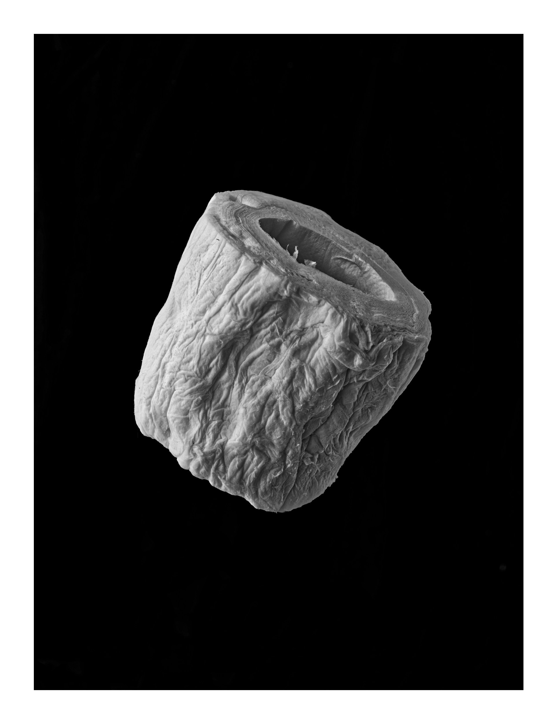 Still Life. Igor Mokhovyk — Portrait Photographer in Germany (Berlin and Worldwide