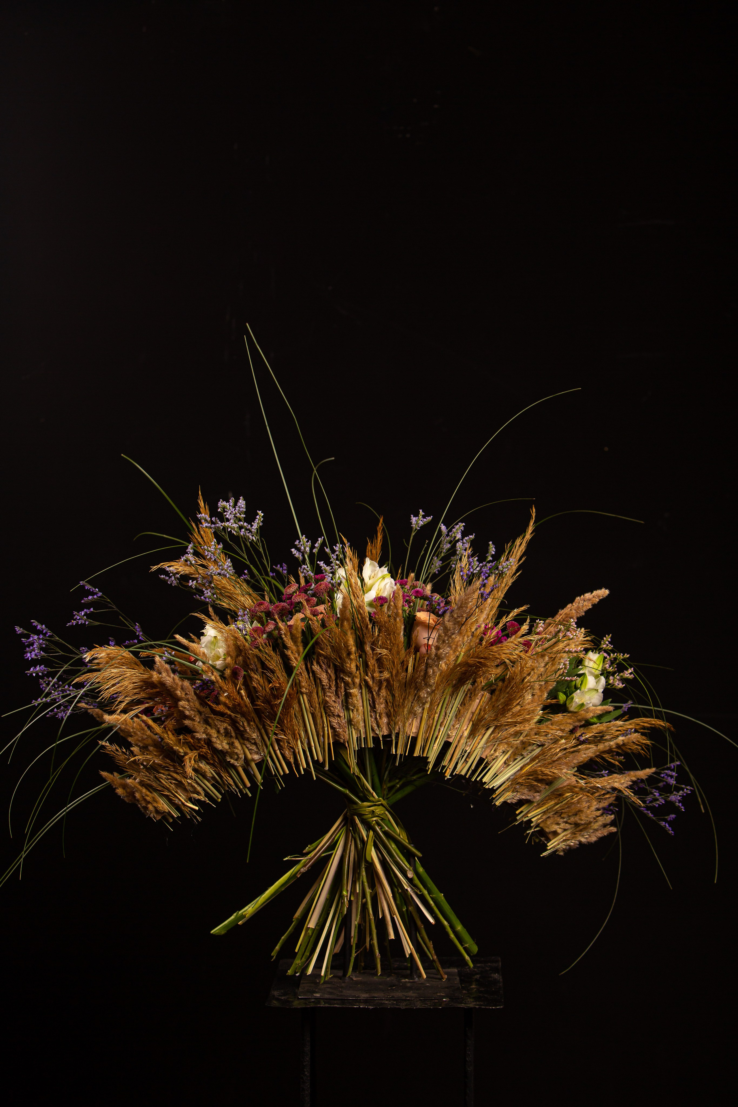 fotos para floristas profesionales