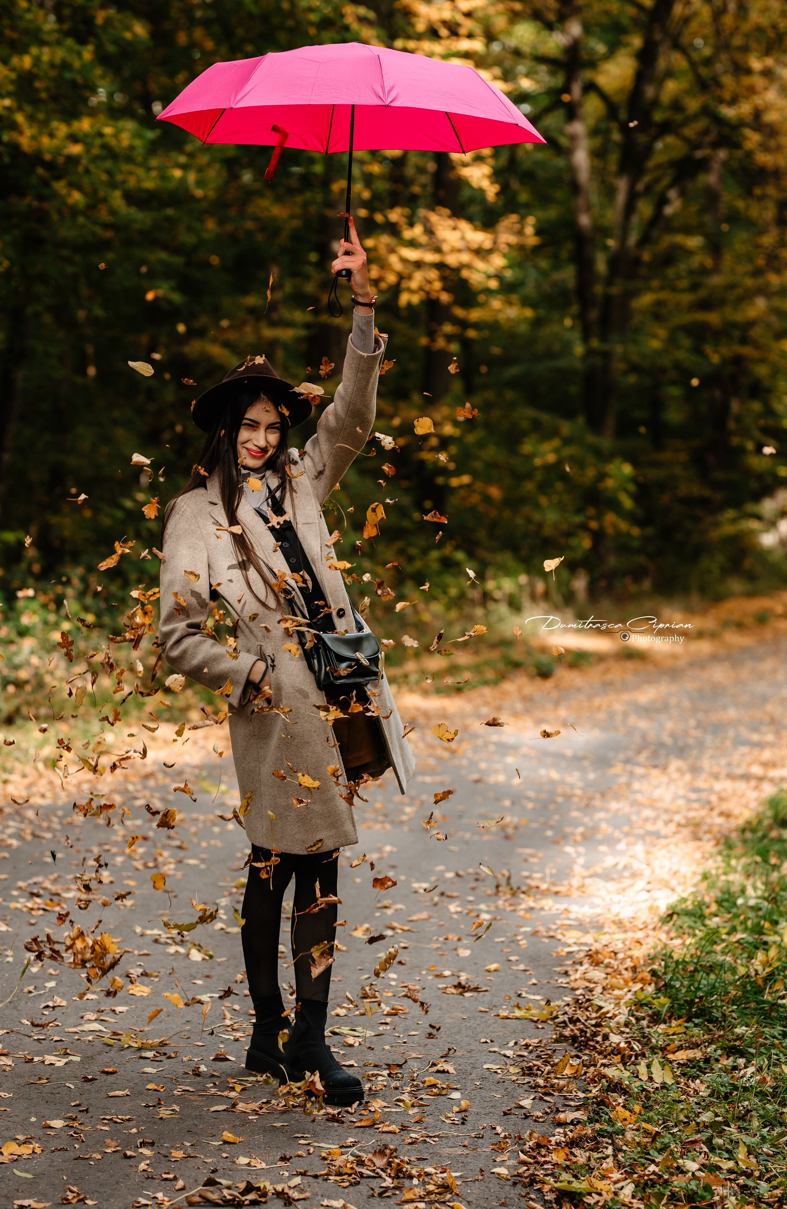 Golden Fall. Dumitrasca Ciprian Photography