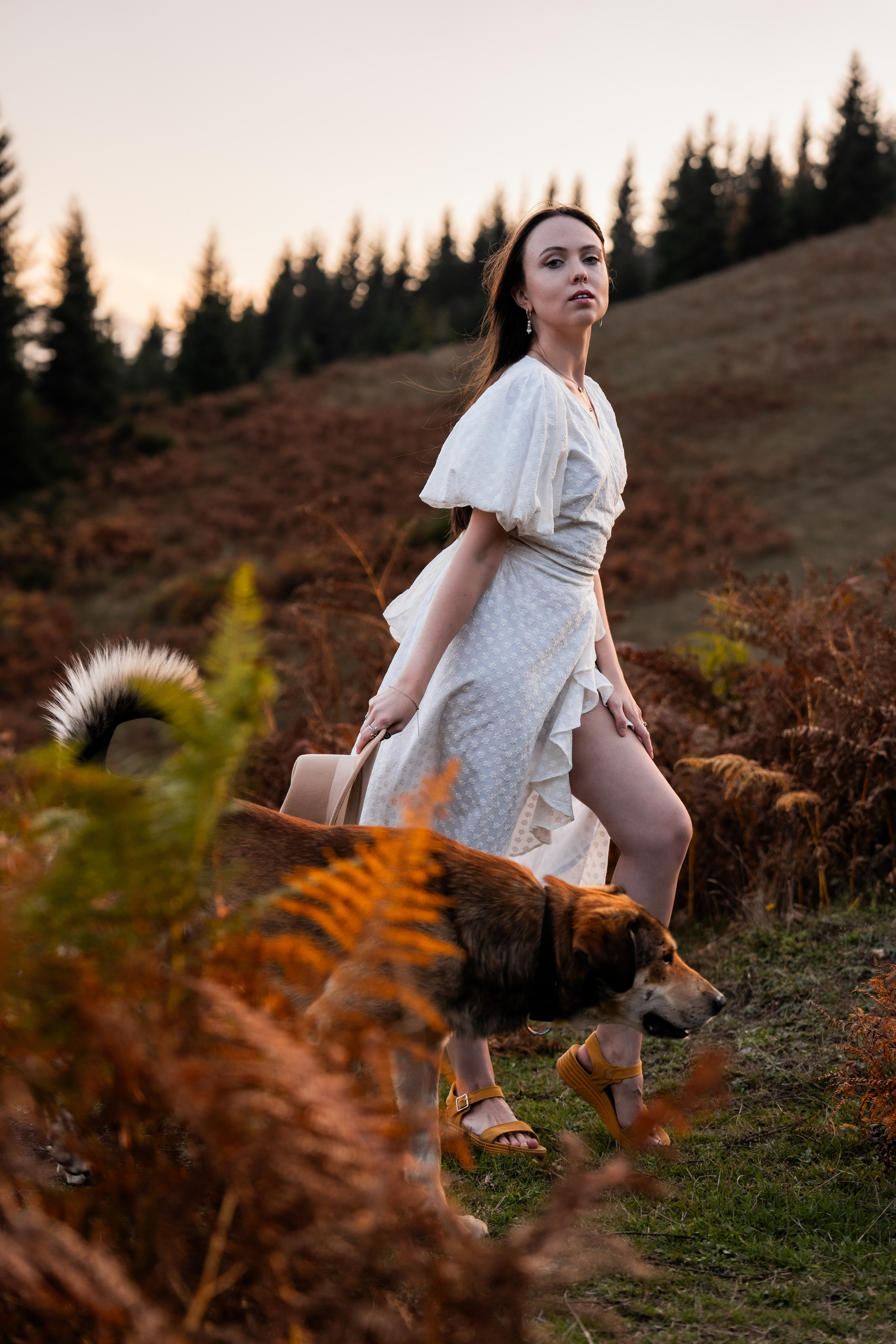 Golden Autumn. Ekaterina Verbitskaya. Photography