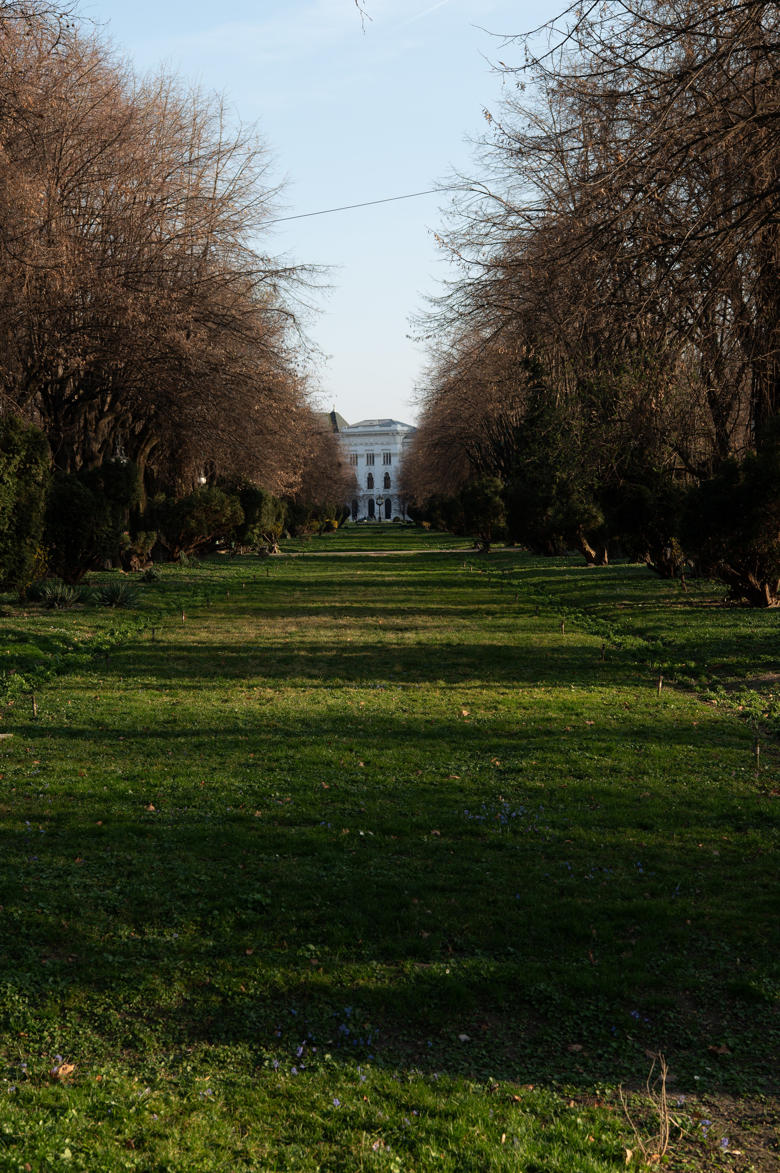 Eric Stoln Photography