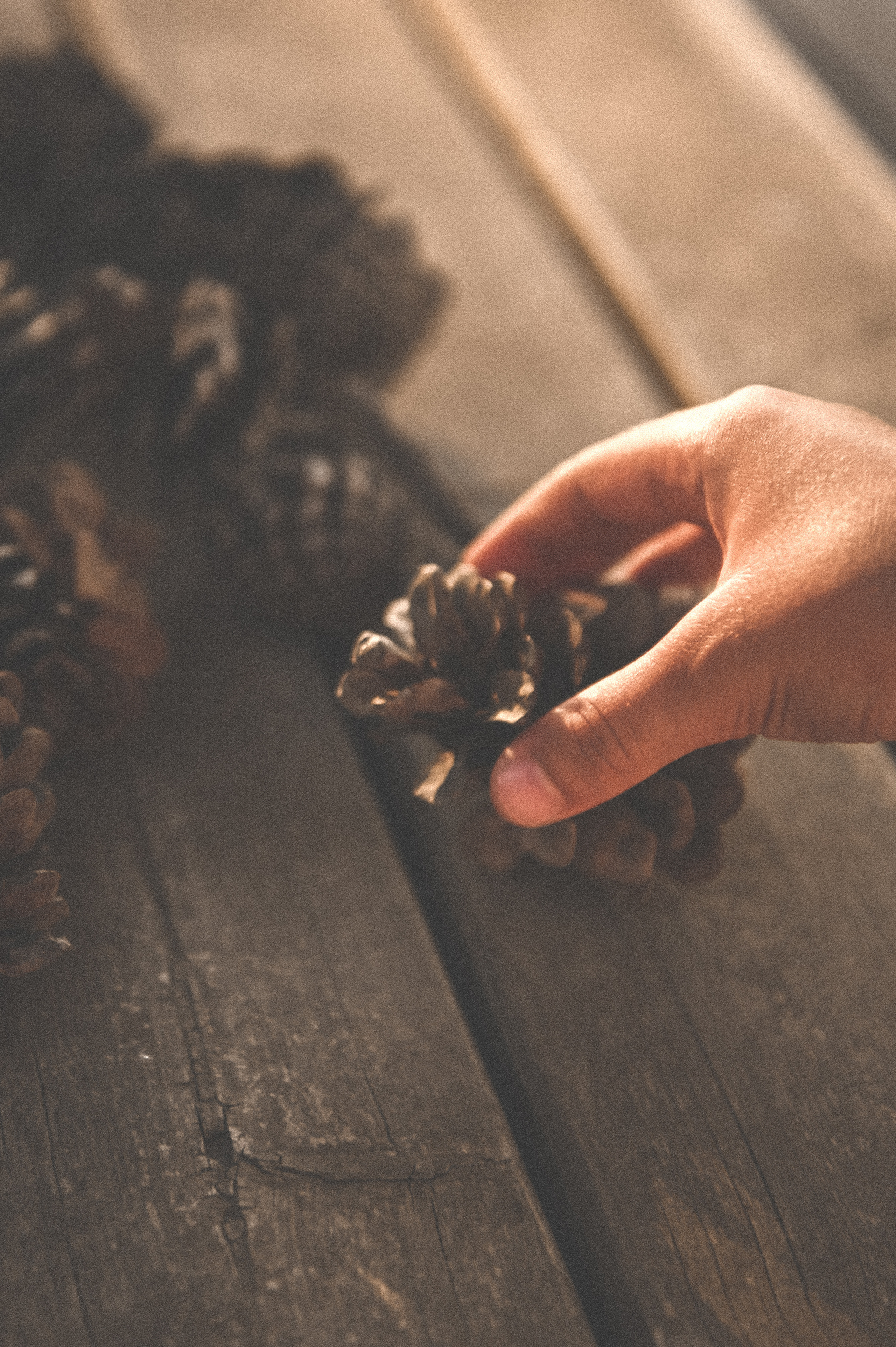 MINO&MARIA FAMILY SHOOTING AT SEA