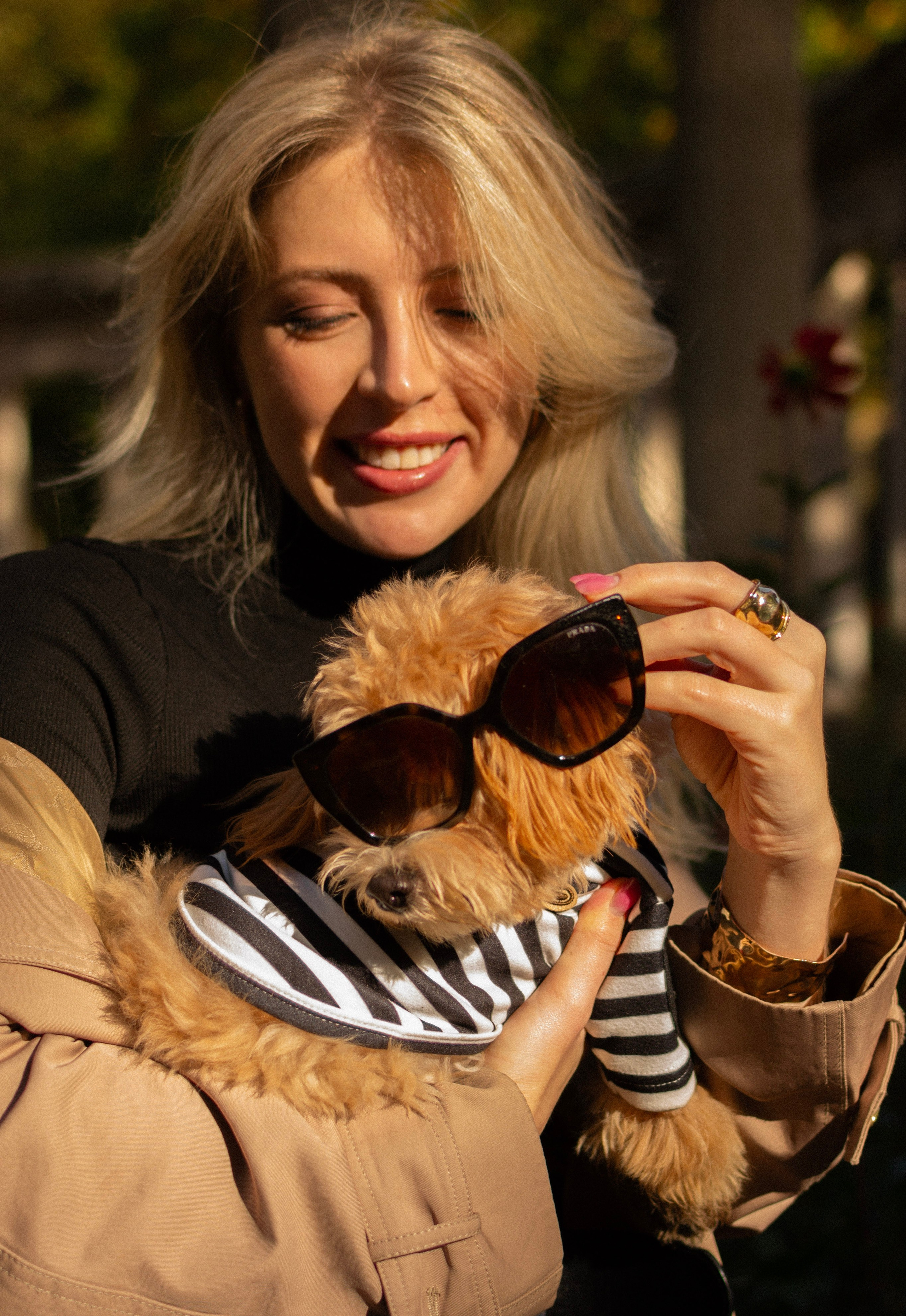 Barney, Nastya et Kolya. Photographe animalier à Paris Anna Pereira
