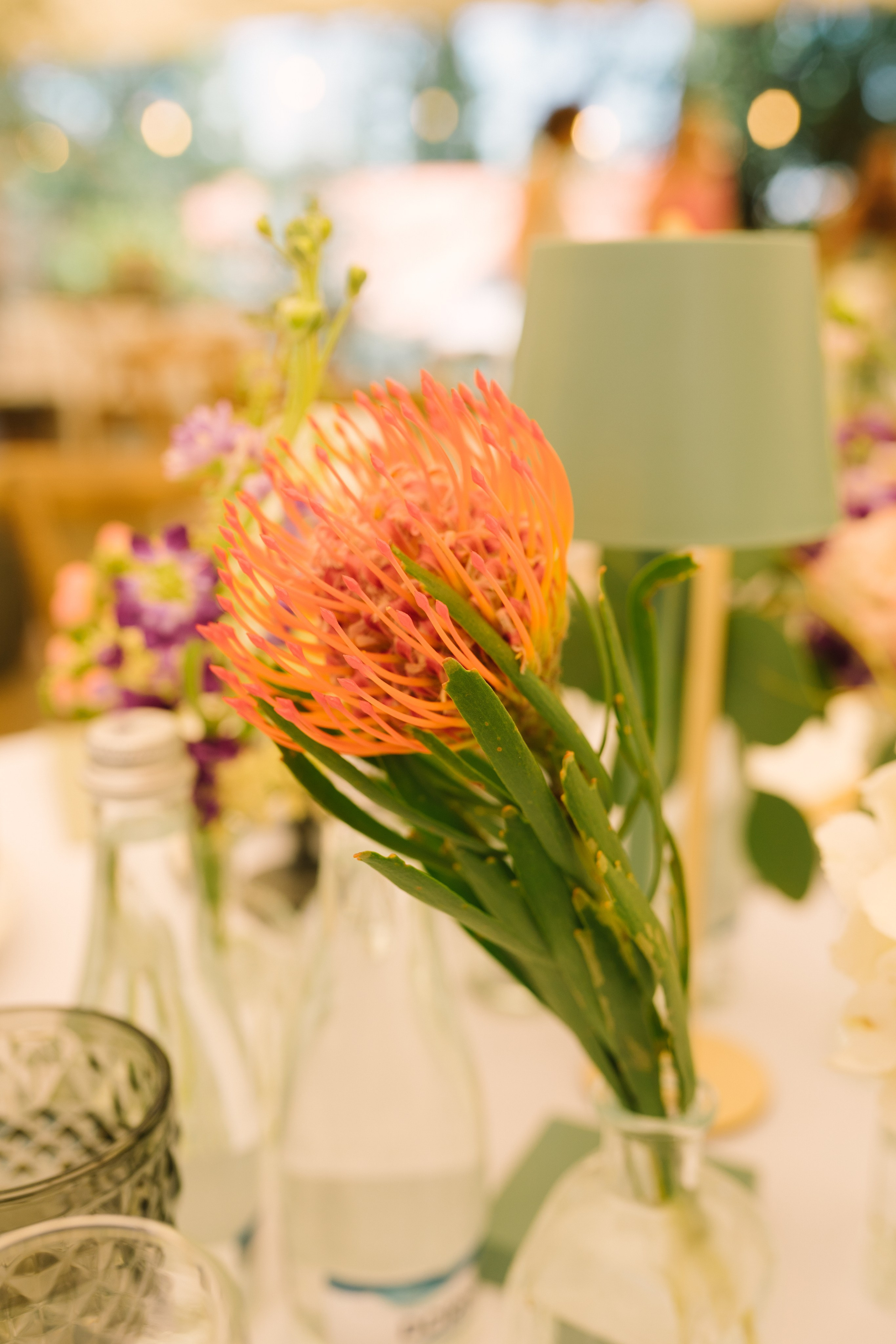 Fotografie de Eveniment Brașov: Povești Vizuale | Mădălina Beda. Madalina Beda- Artist vizual, fotograf, doula la nastere, consultant babywearing Brasov si in toata tara