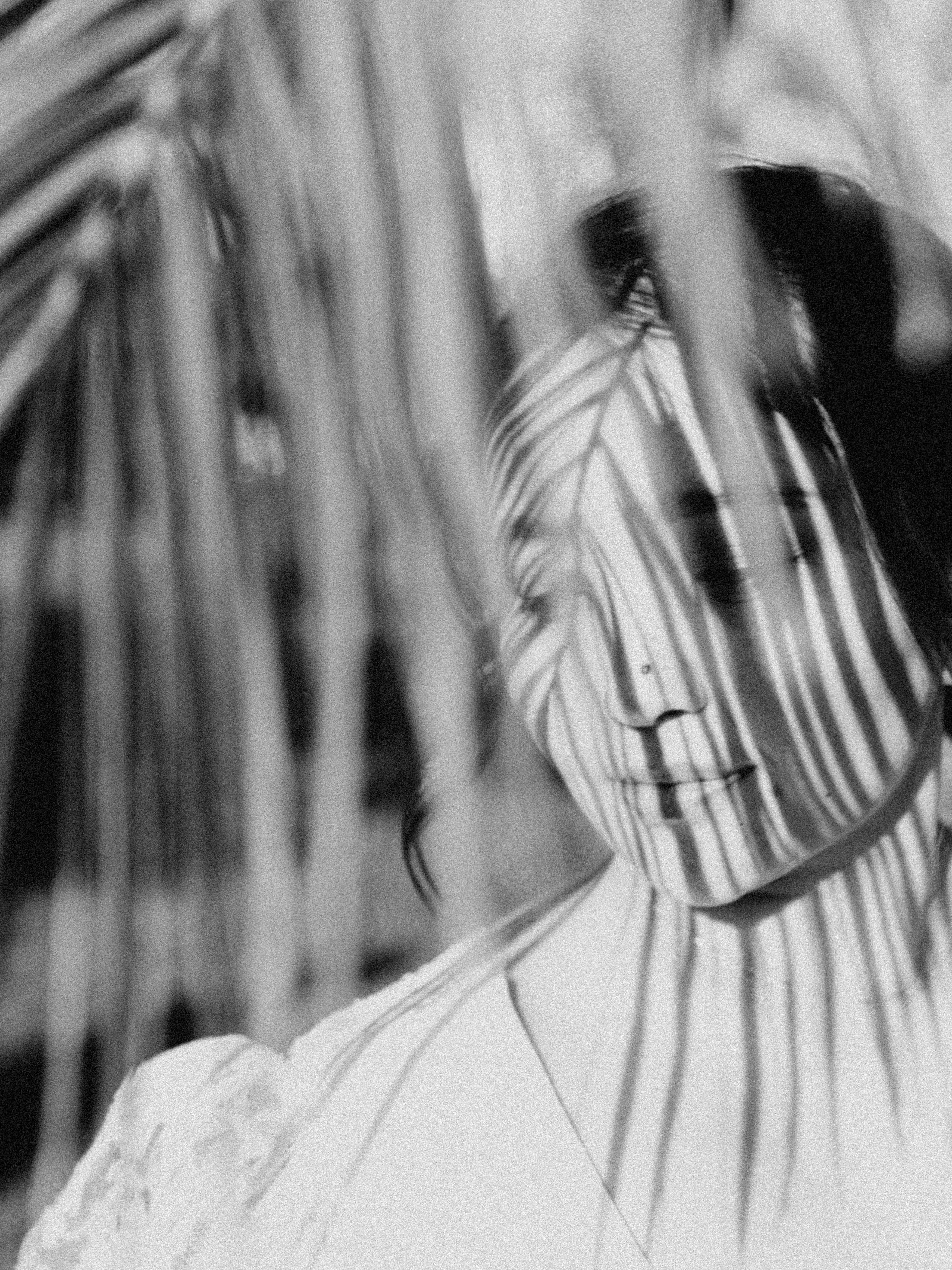 Свадебный бриз. Валерия Вартанова. Фотограф