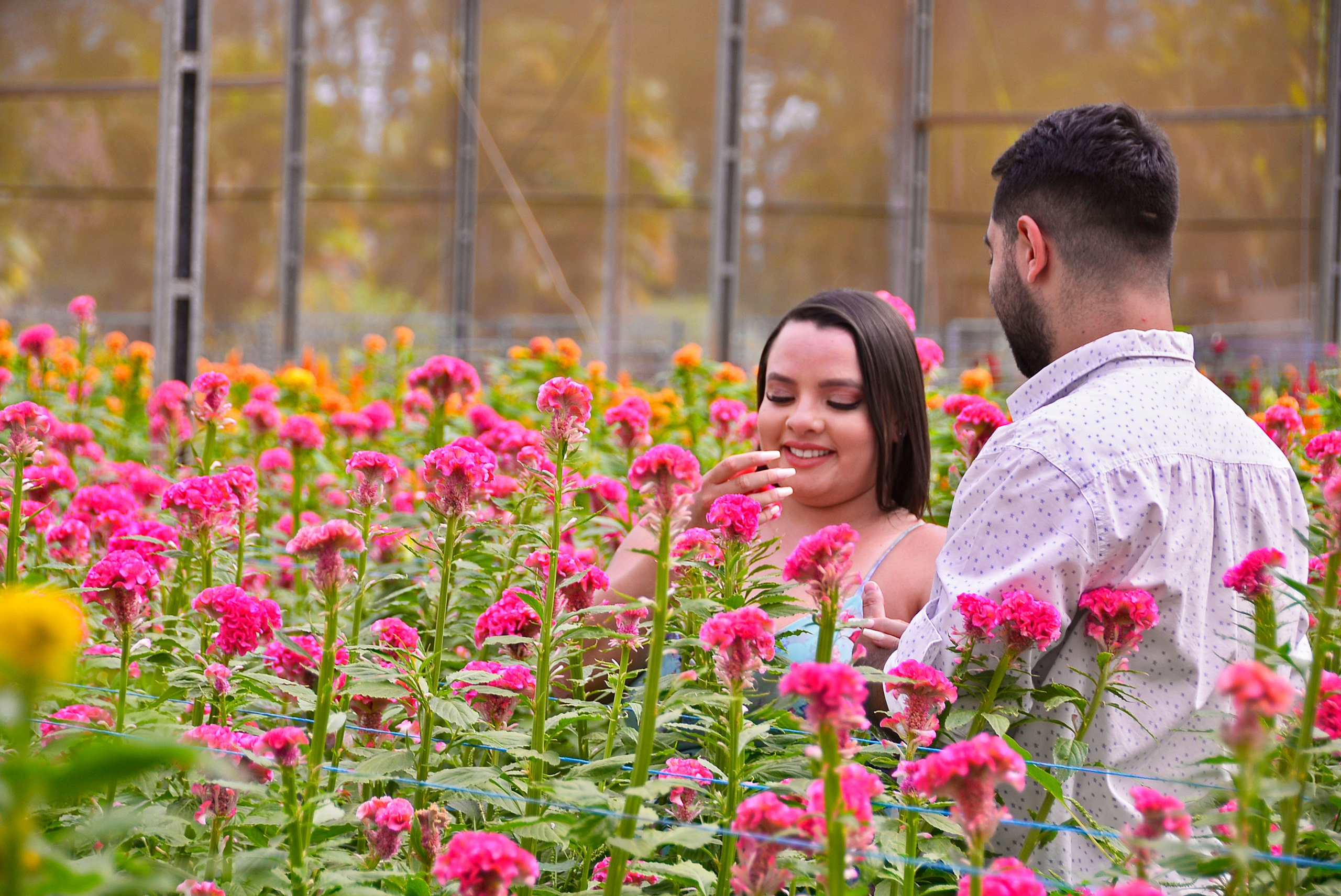 Vanessa & Victor — Campo Macena, Holambra. Produtora Bride
