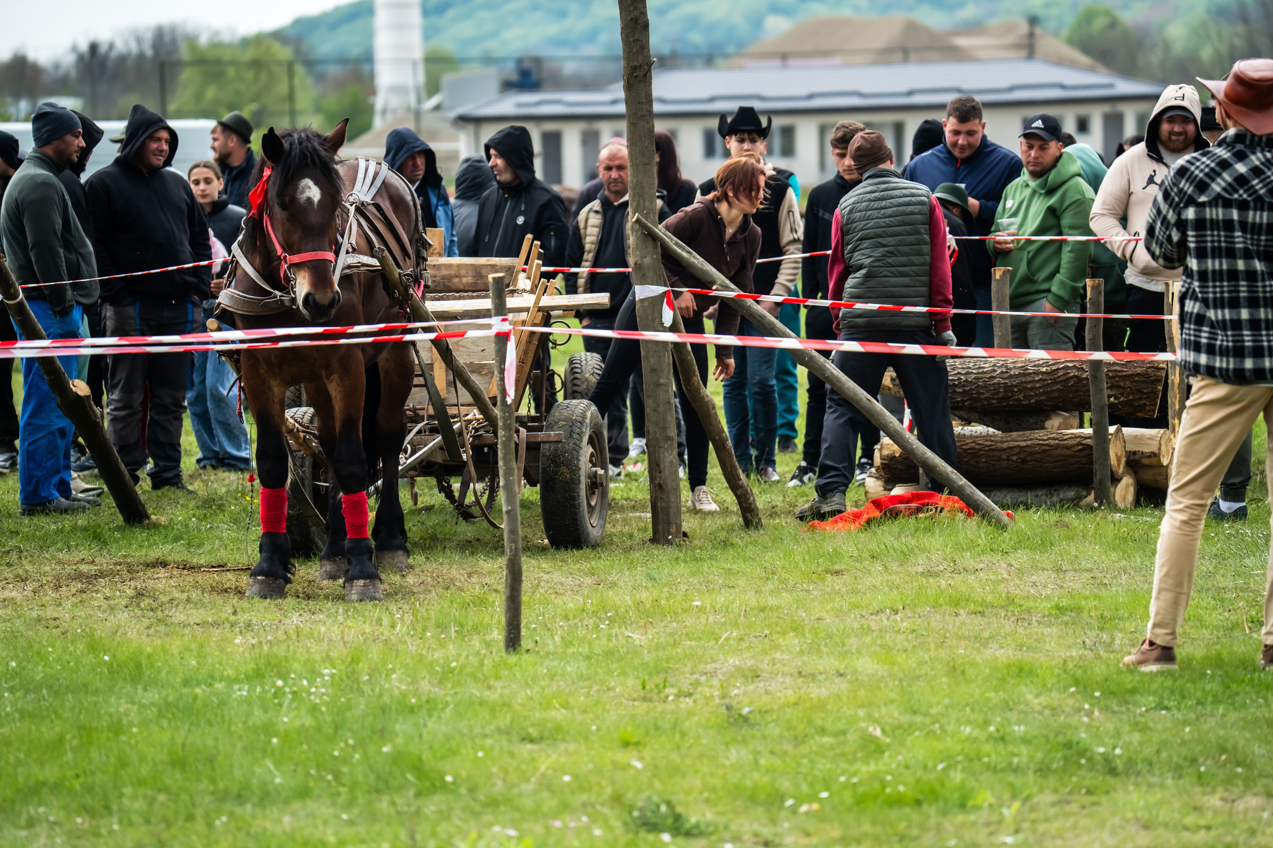 Concurs Ecvestru Vărbilău ediția a 4-a. Mihai Alexandra Events