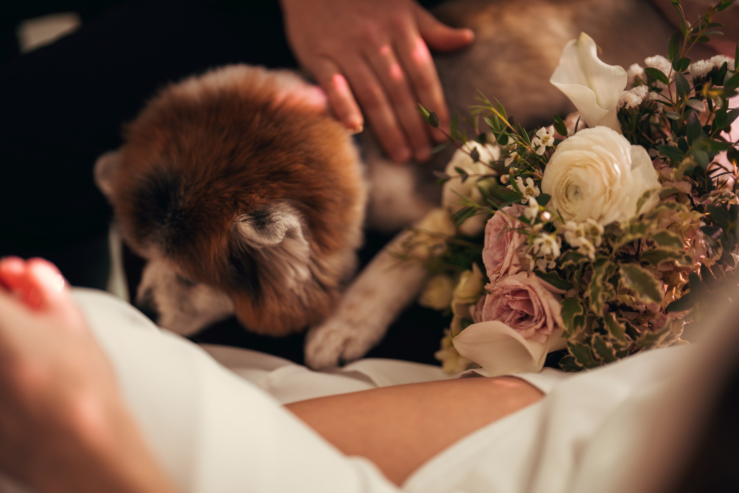 Corbin&Ivanna. Wedding & elopement photographer Viktoriya Kravtsov. Las Vegas