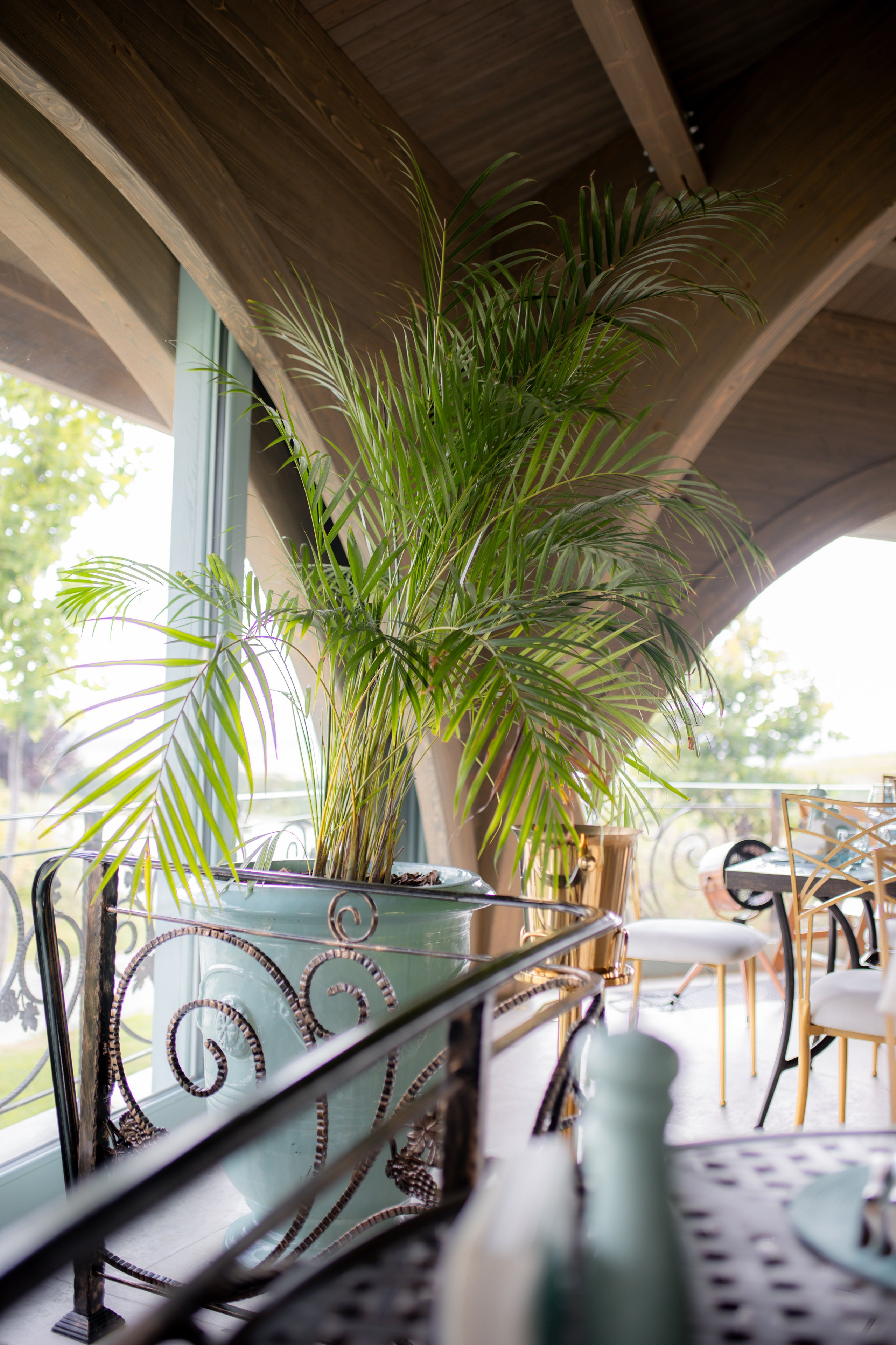 Casa Timis. Patricia Morenci — Mountain Adventures for the Wild at Heart