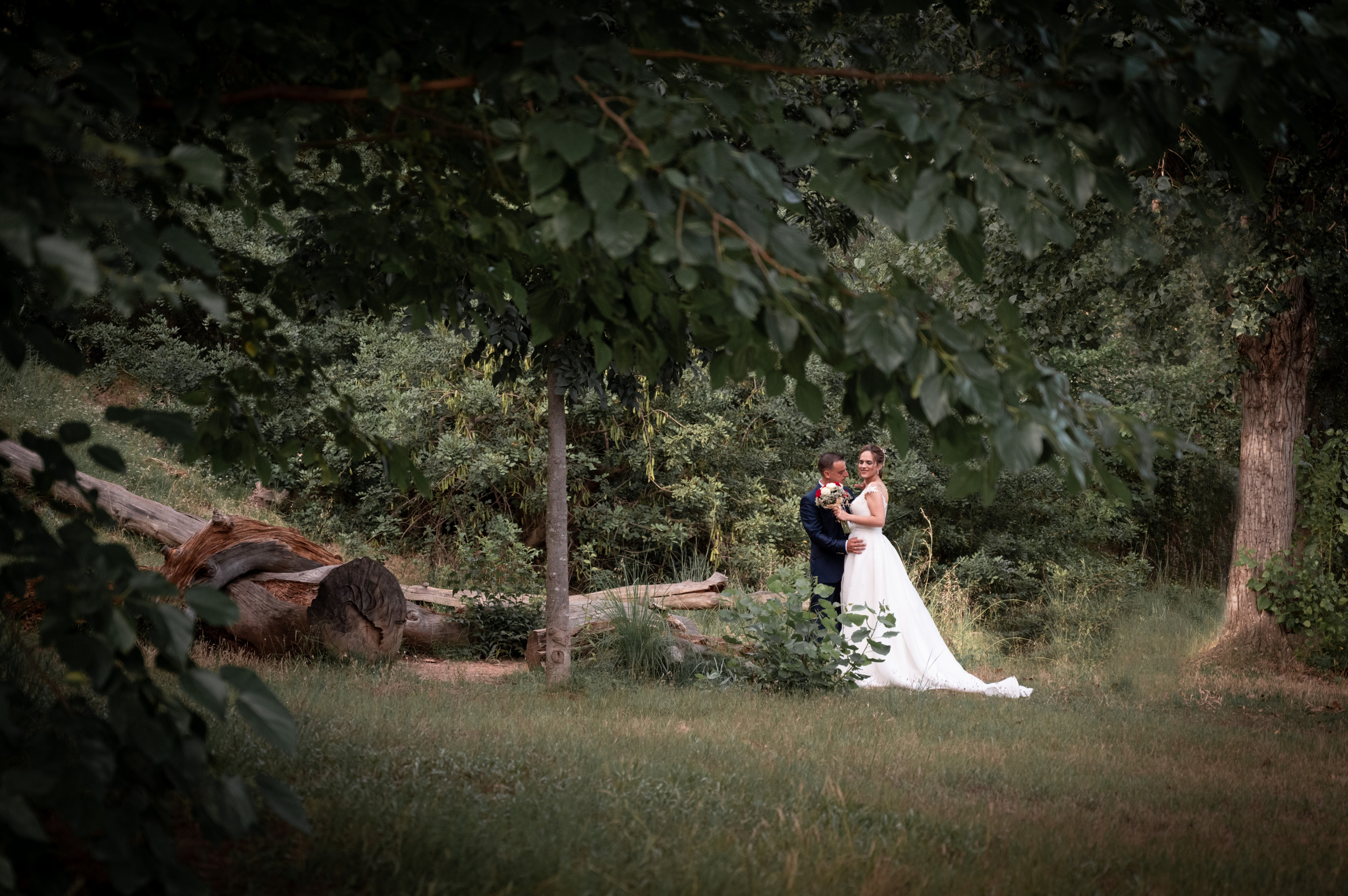 HOCHZEIT. Familien- und Hochzeitsfotograf Shestak Ivan