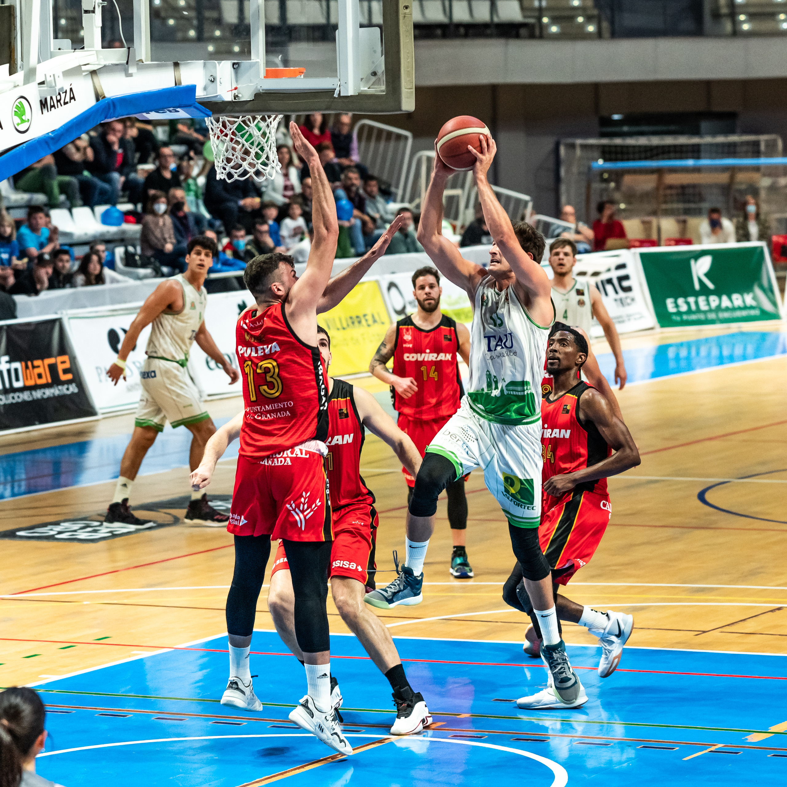 SPORT. Familien- und Hochzeitsfotograf Shestak Ivan